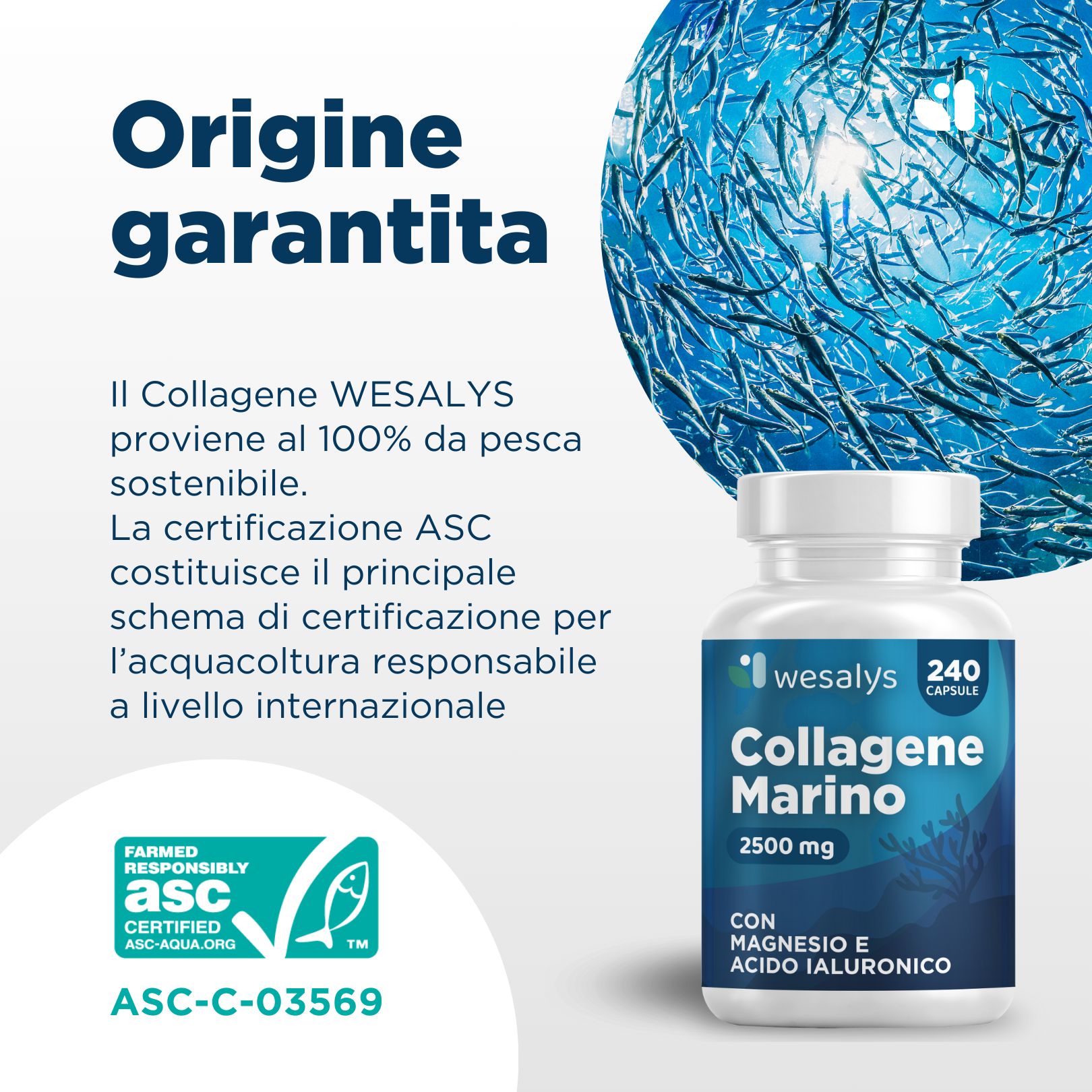 Flacone del prodotto accanto a testo e simbolo pesce. Testo: Collagene Marino, 2500 mg, 240 capsule. Certificazione ASC.