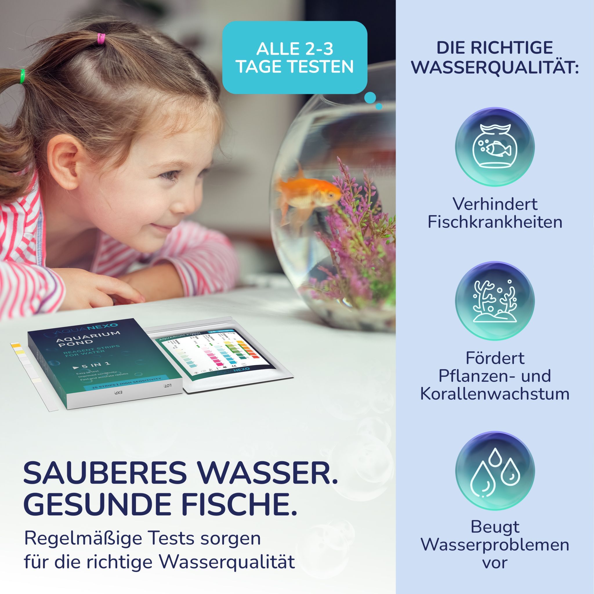 Kind betrachtet Aquarium. Packung und Teststreifen liegen daneben. Text: "SAUBERES WASSER. GESUNDE FISCHE."