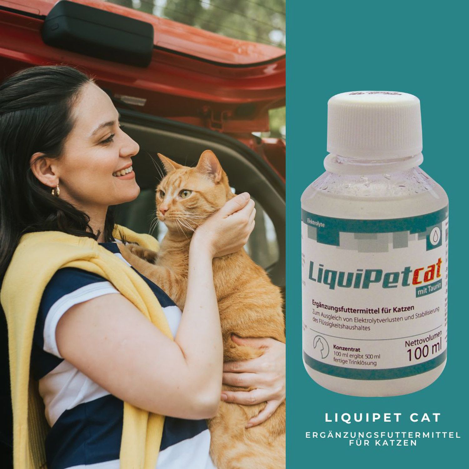 reboVet LiquiPet cat