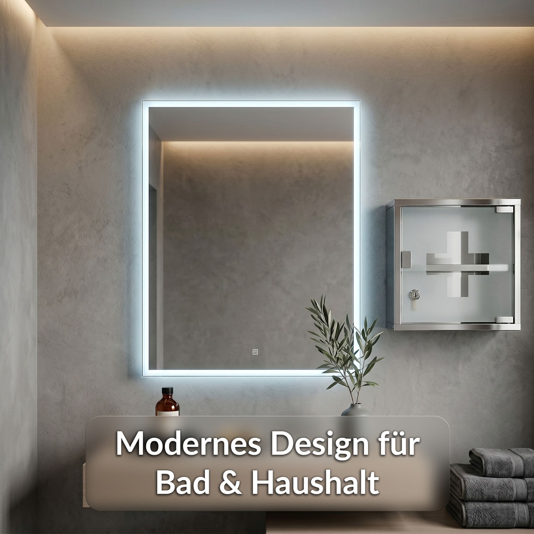 KARAT Medizinschrank Allen - Abschließbarer Arzneischrank mit Glastür Silber 30 x 30 cm 2 Fächer
