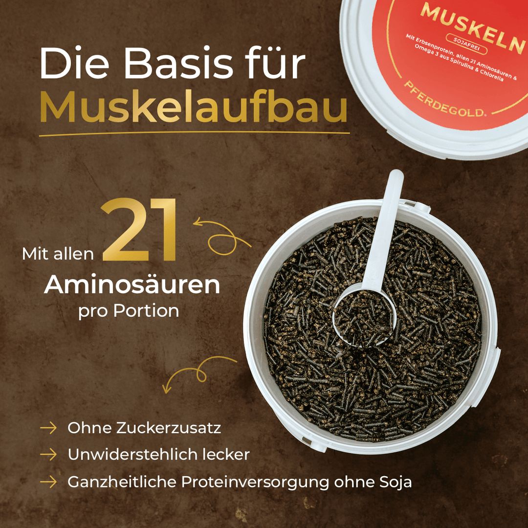 Pferdegold Muskeln sojafrei