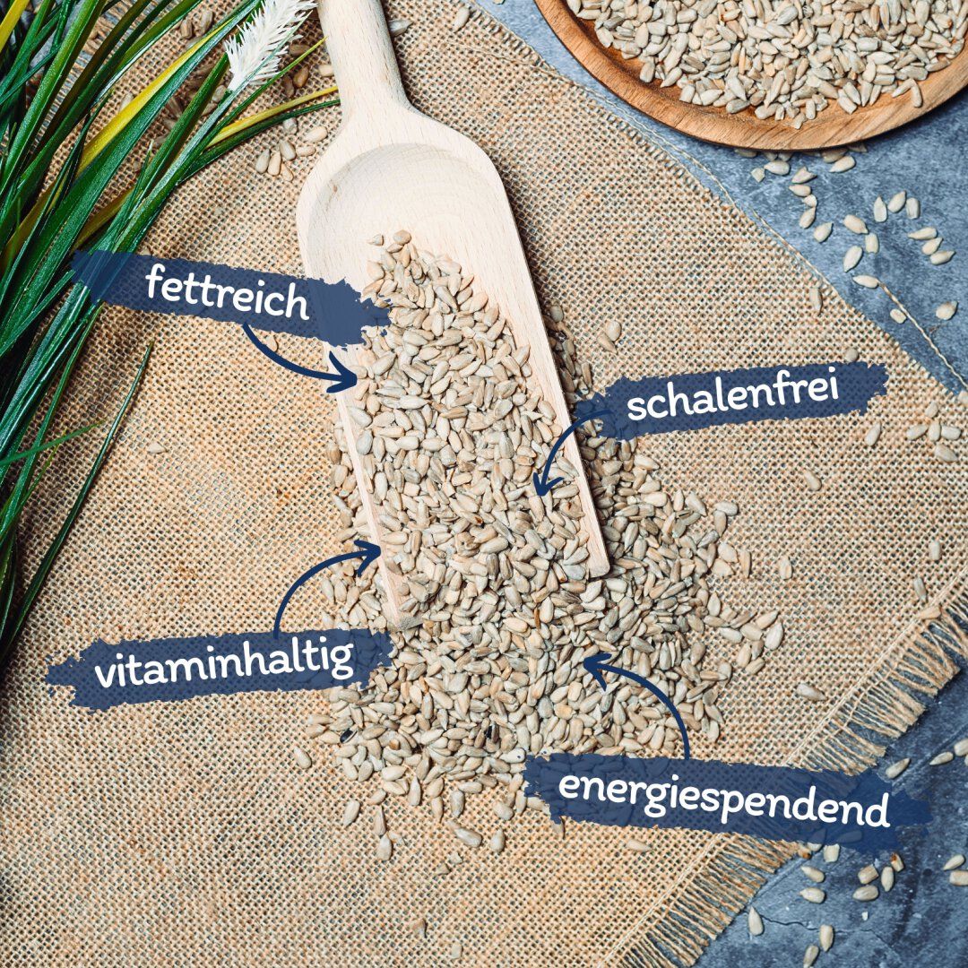 Geschälte Sonnenblumenkerne auf Leinenstoff. Beschriftungen: fettreich, schalenfrei, vitaminhaltig, energiespendend.