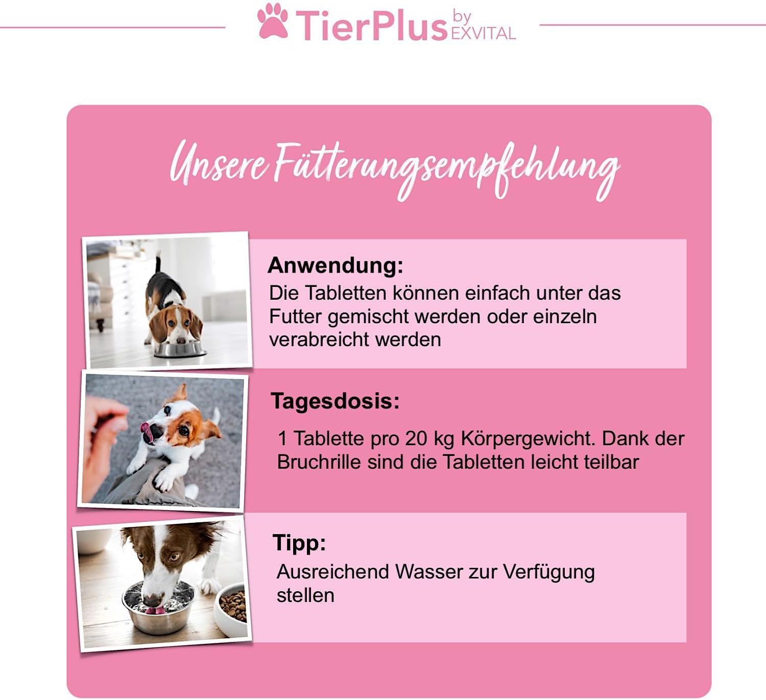 Drei Bilder zur Fütterungsempfehlung von TierPlus Haarpracht Tabletten für Hunde.