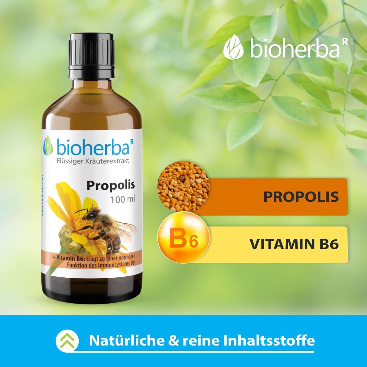 Bioherba Propolis Tropfen Tinktur