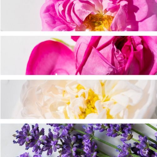 Alteya Organics Blumenwasser Set