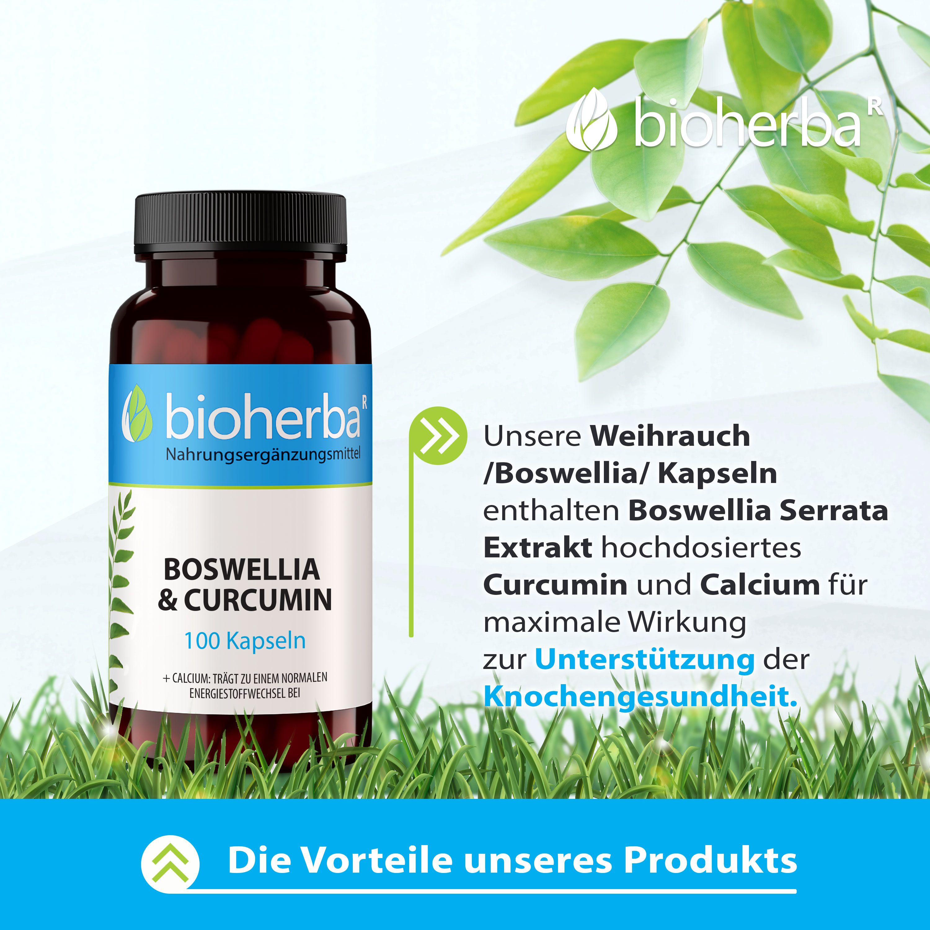 Bioherba Boswellia & Curcumin Kapseln