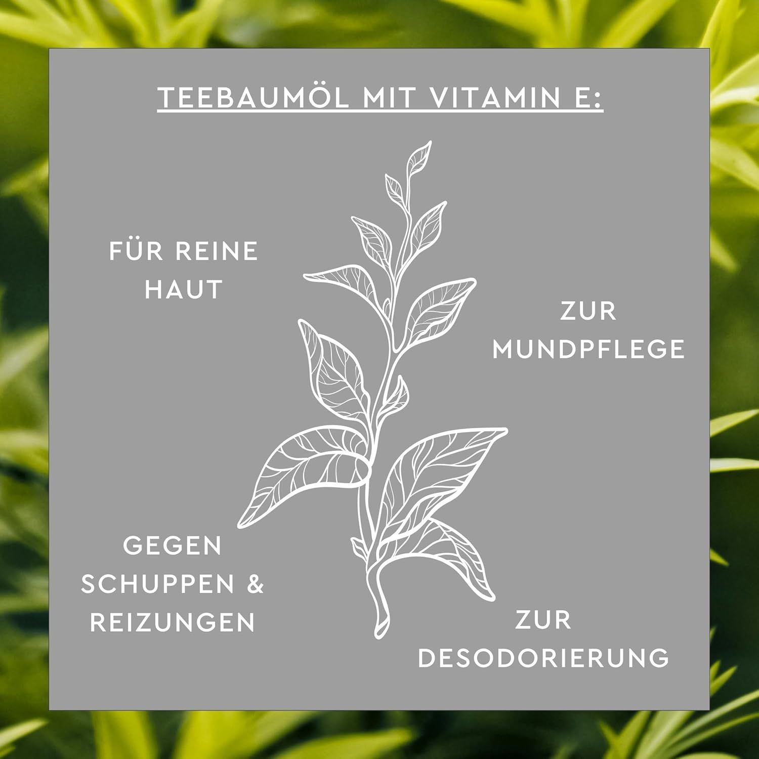 Verpackung von SUNLIFE® Australisches Teebaumöl. Grün-weiße Schachtel mit Produktinformationen und Logo. 30 ml Flasche.