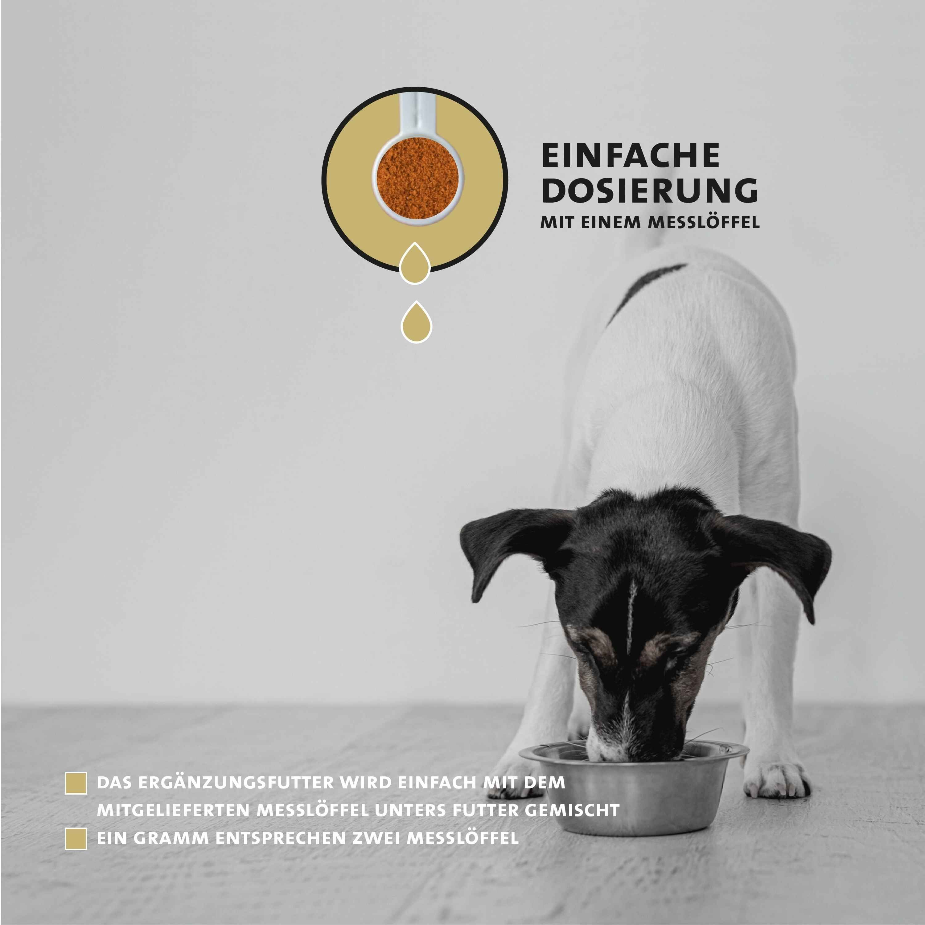 Peticare Natürliches Ergänzungsfutter für Herz & Kreislauf Pulver für Hunde