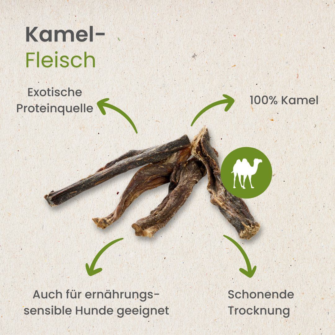 Getrocknetes Kamelfleisch als Proteinquelle, 100% Kamel.