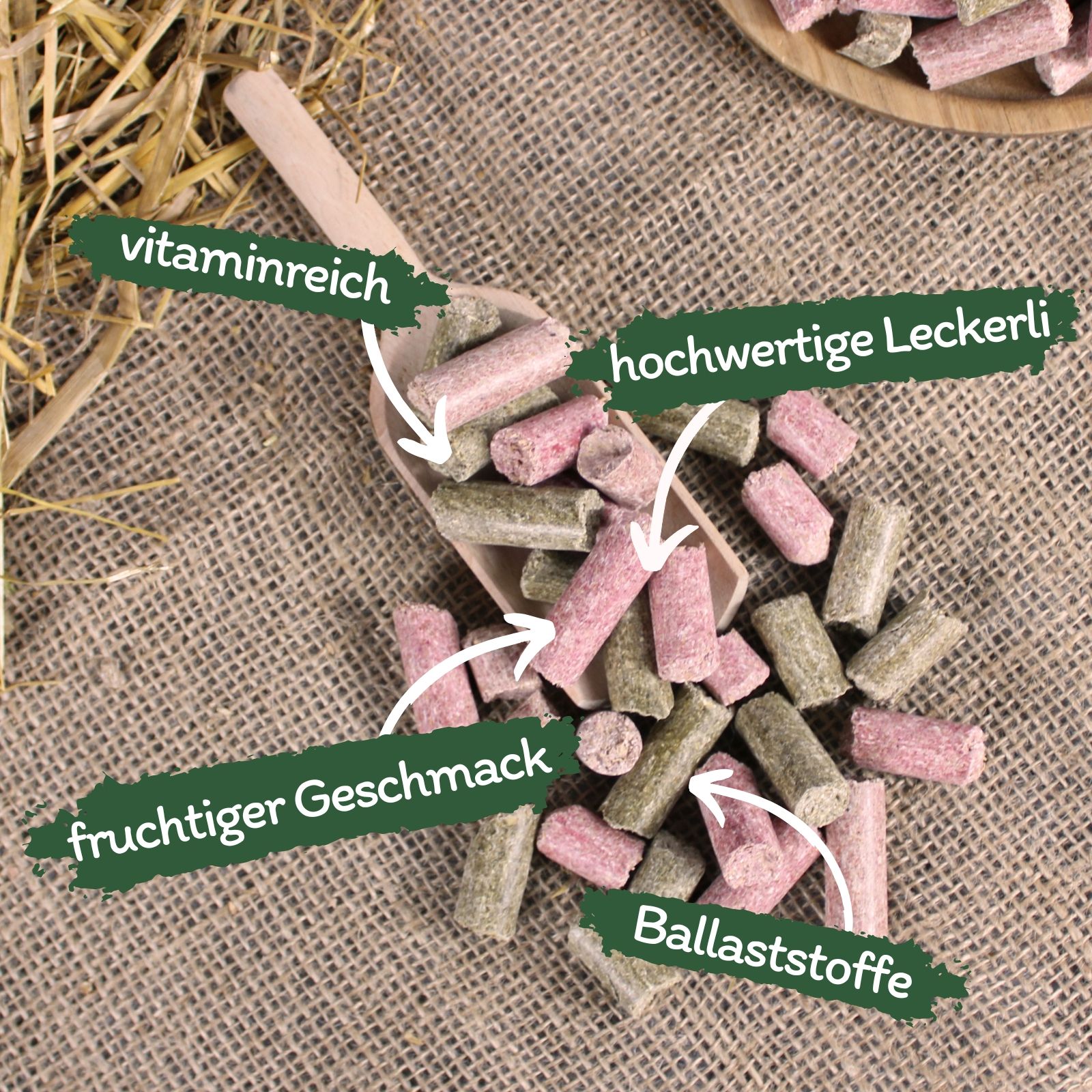 Hundefutter-Snacks in Holzschaufel. Beschriftungen: vitaminreich, fruchtiger Geschmack, Ballaststoffe, hochwertige Leckerli.
