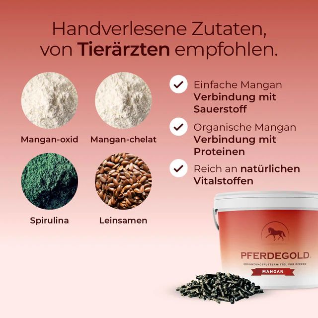 Pferdegold Mangan