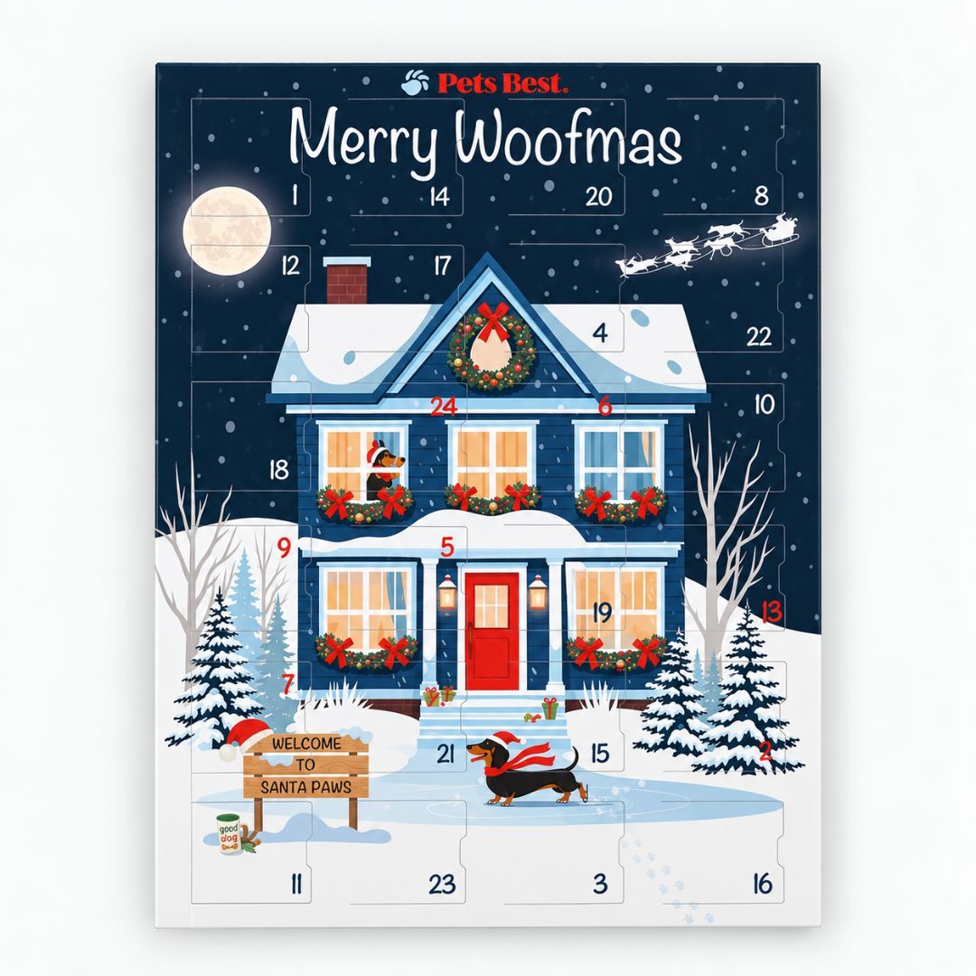 Adventskalender für Hunde 'Santa's Moonlight Skates' - Pets Best 1 St