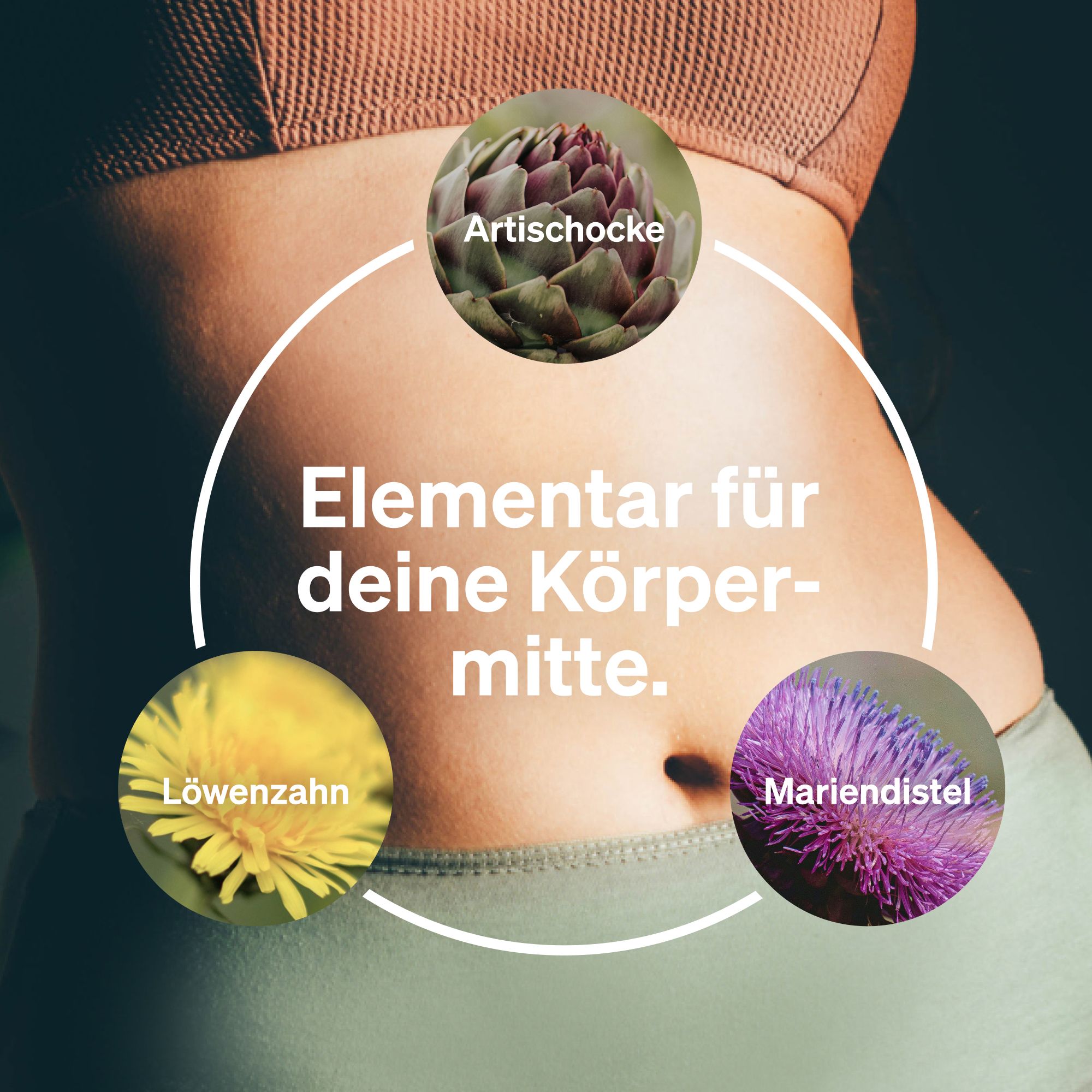 naturale elements Mariendistel Artischocke Löwenzahn Komplex - 120 Kapseln - mit 80% Silymarin