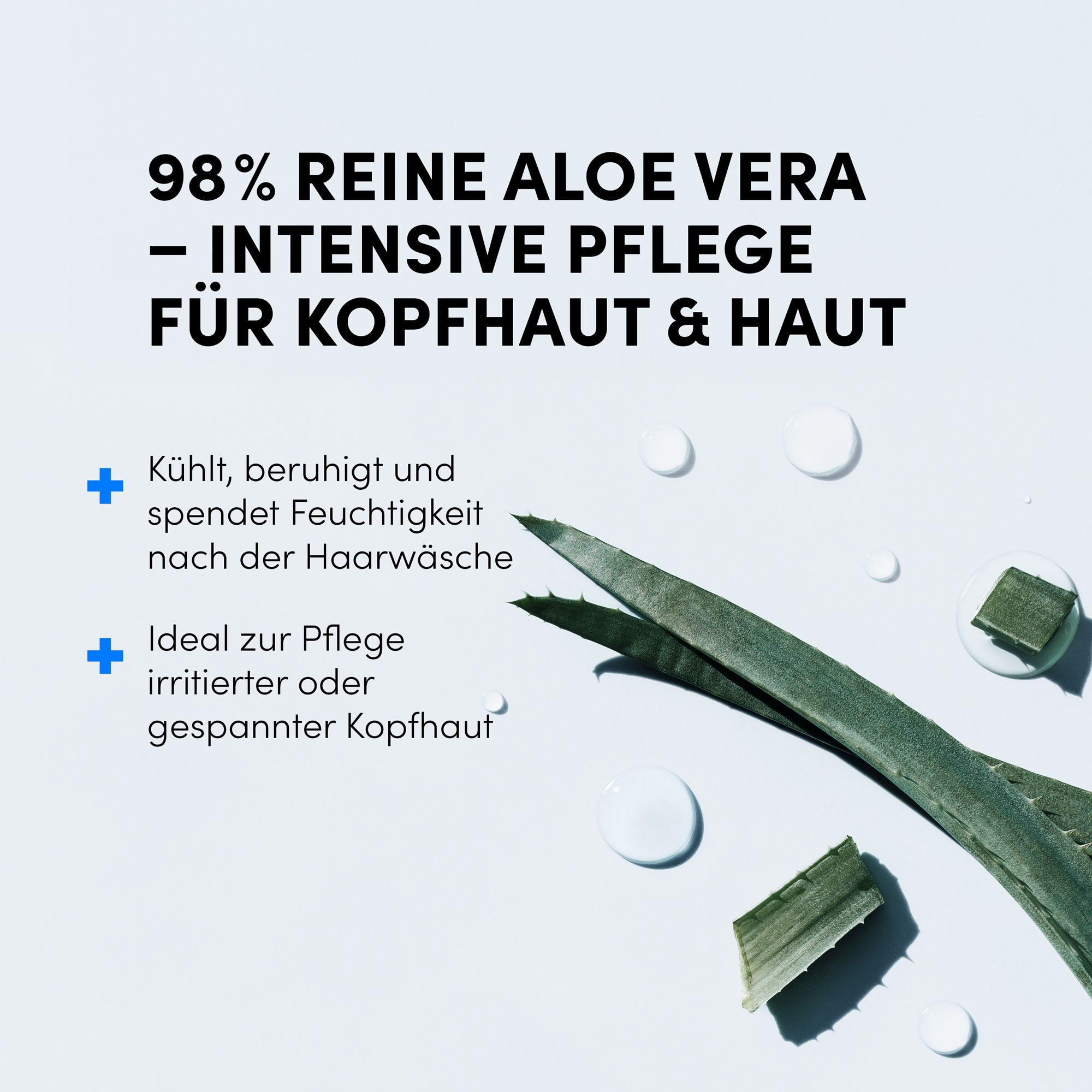 Aloe Vera Blätter und Wassertropfen. Text: 98% reine Aloe Vera - intensive Pflege für Kopfhaut & Haut.