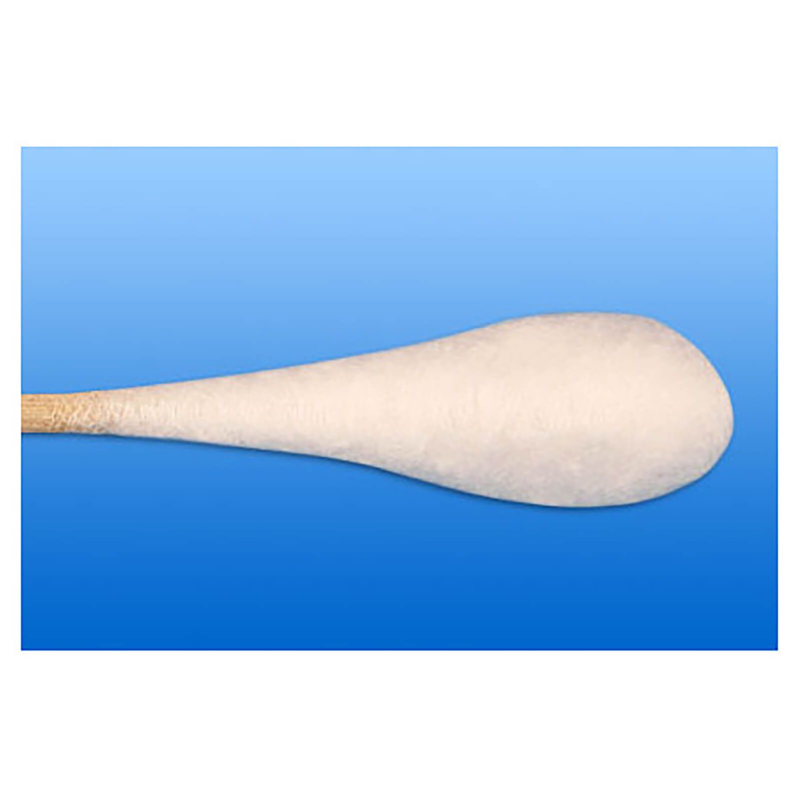 Nahaufnahme eines Wattestäbchens. Wattebausch an einem Holzstiel. Hintergrund blau.