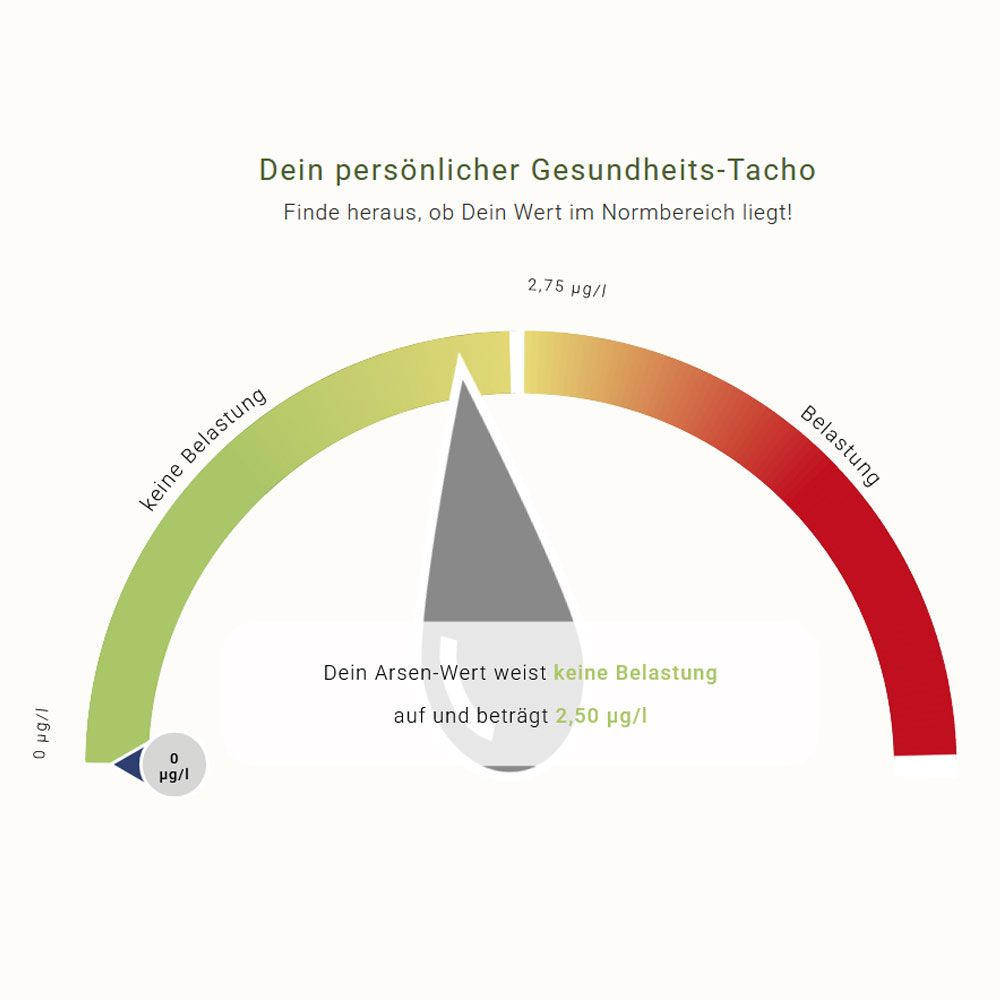 Grafik eines persönlichen Gesundheits-Tachos mit Skala von 'keine Belastung' bis 'Belastung' und einem Zeiger auf 'keine Belastung 2,50 µg/l'.