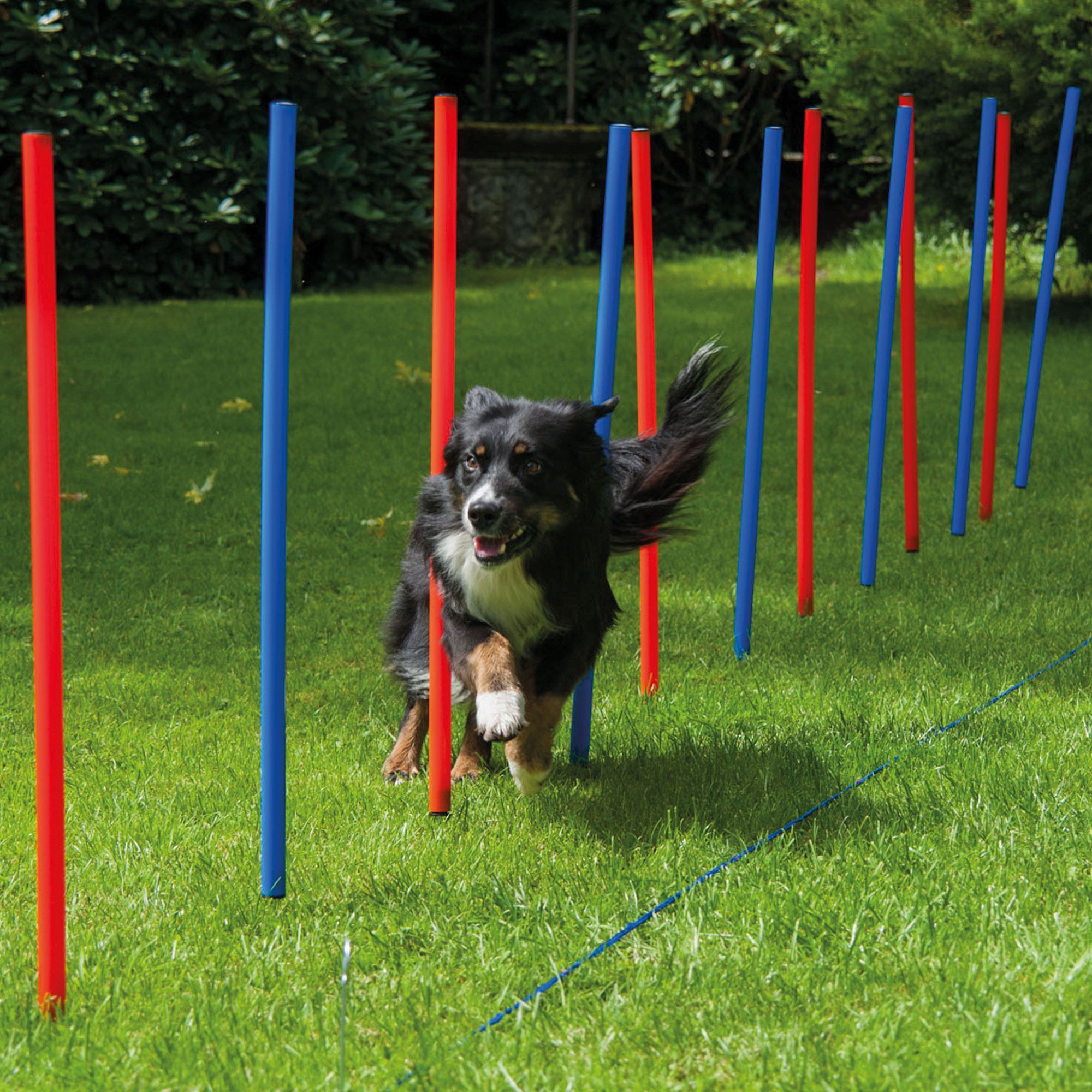 Agility Slalomstangen Slalom Stangen Set- Hundesport- 12 Stangen