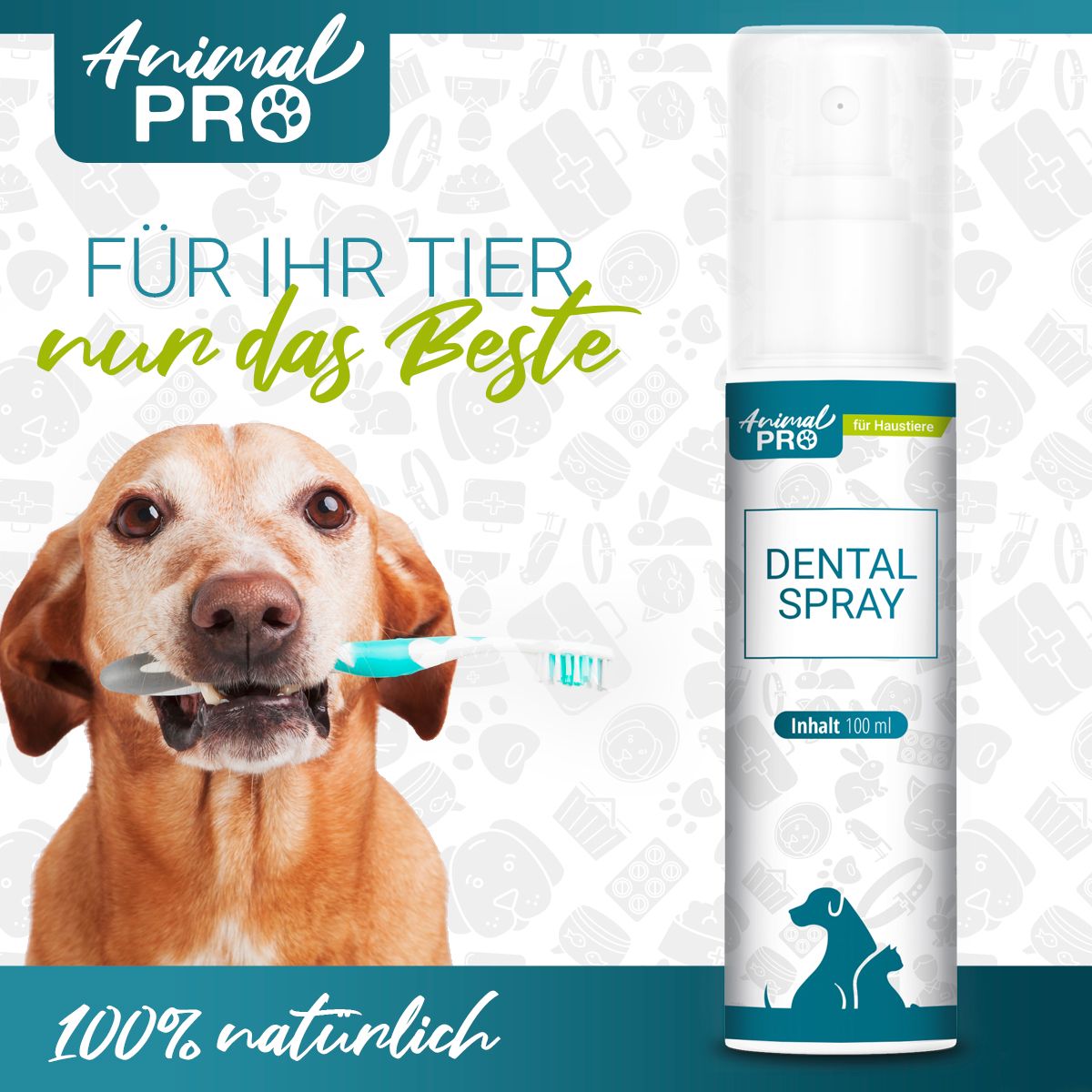 Hund mit Zahnbürste im Maul. Rechts: Sprühflasche mit Animal Pro Logo und Dental Spray. Text: 100% natürlich.