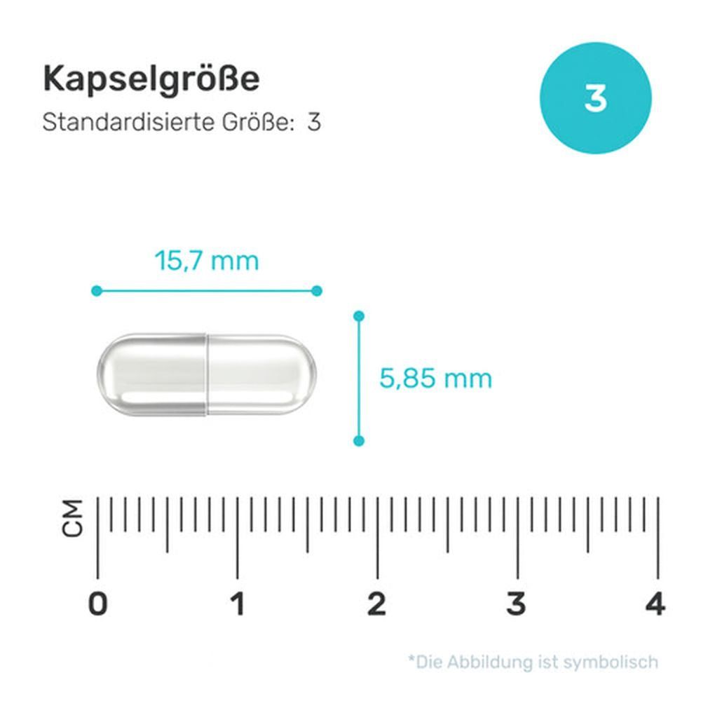 Nahaufnahme einer Kapsel mit Maßangaben. Länge: 15,7 mm, Durchmesser: 5,85 mm. Standardisierte Größe: 3.