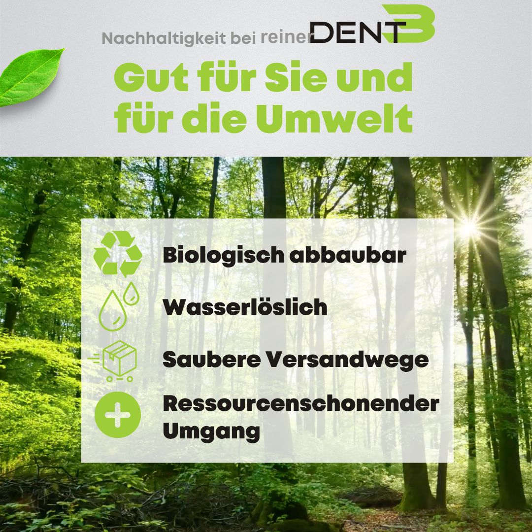 Waldlandschaft. Text: Nachhaltigkeit bei reinerDENT3, Gut für Sie und für die Umwelt, biologisch abbaubar, wasserlöslich.