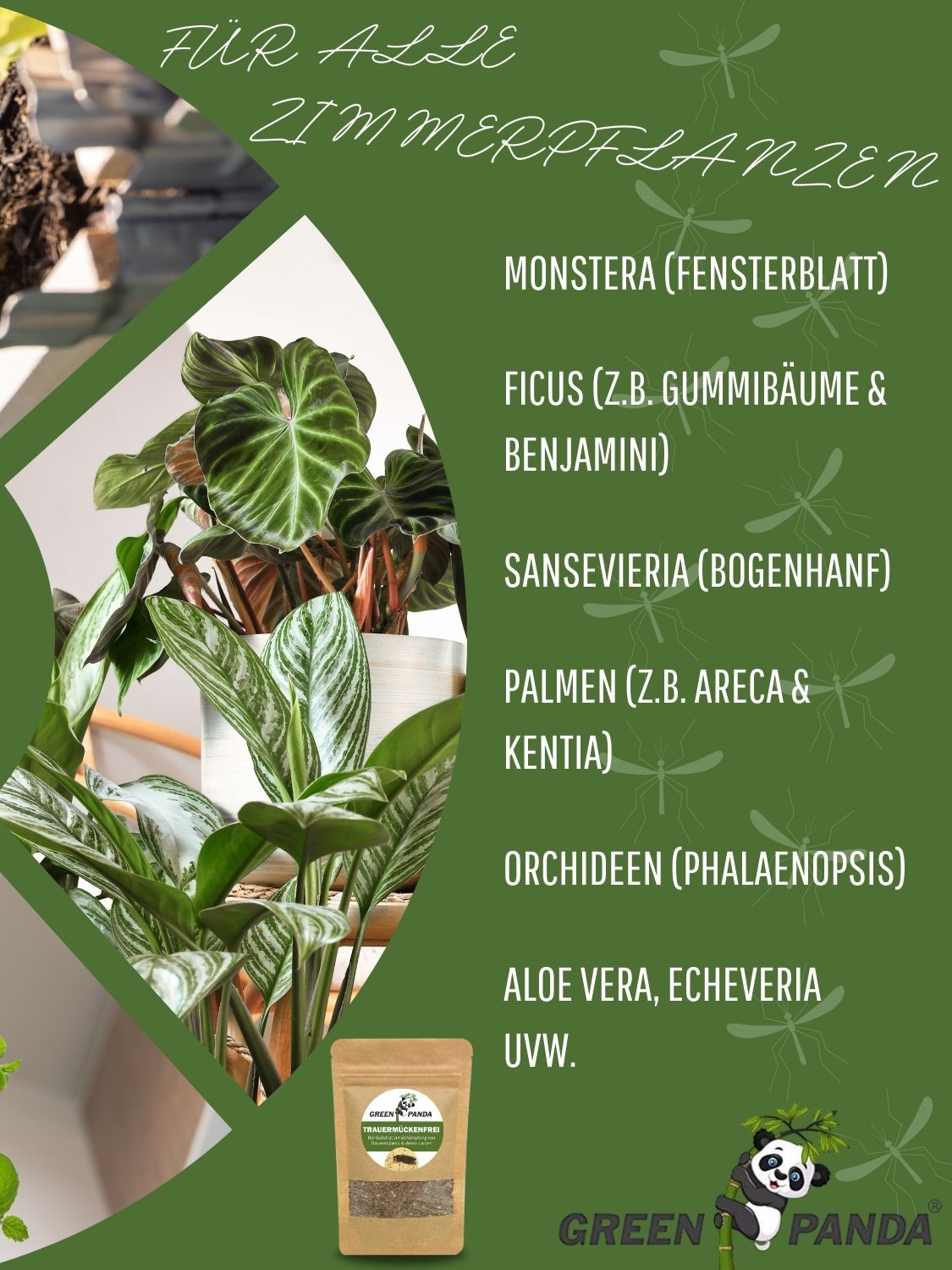 Grüner Flyer mit Pflanzen und Produkt. Text: Für alle Zimmerpflanzen. GreenPanda Trauermückenfrei im Beutel.