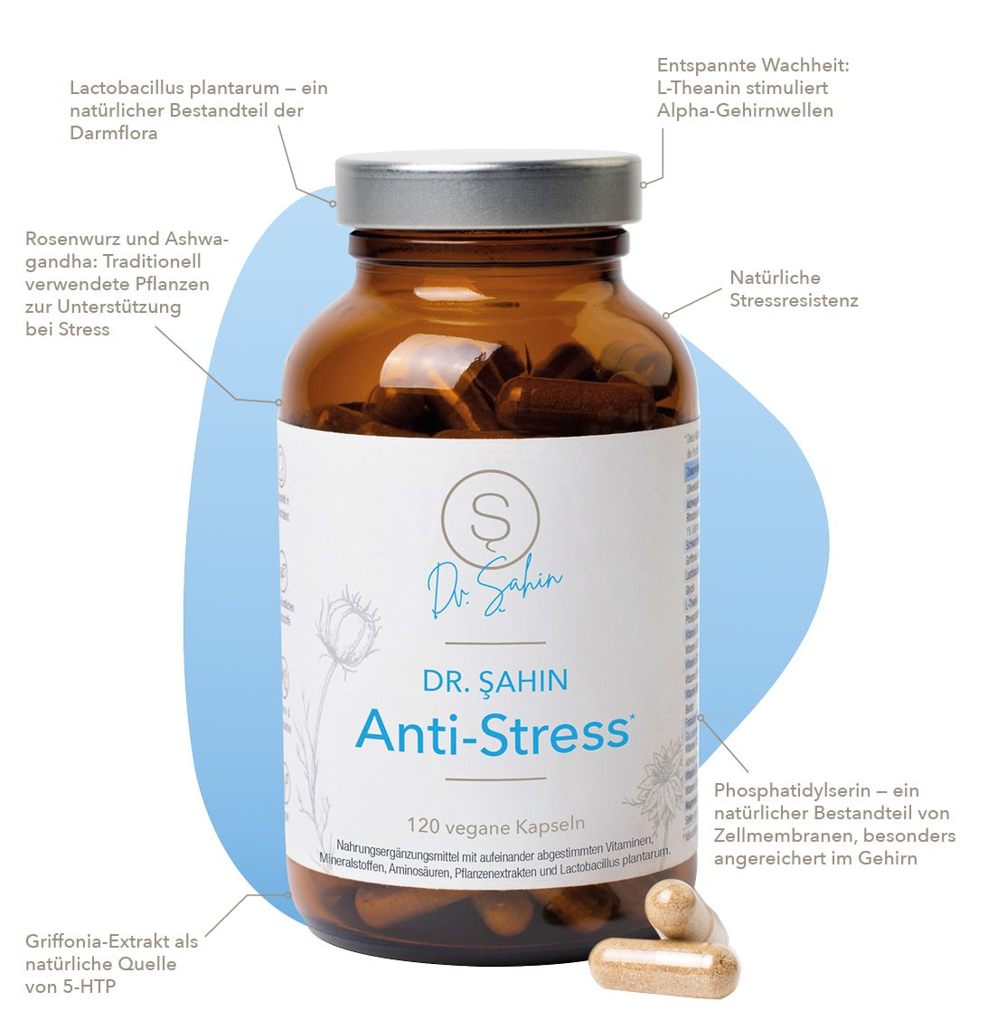Braune Glasflasche mit Kapseln. Etikett mit "Dr. Şahin Anti-Stress" und Inhaltsstoff-Informationen. Kapseln liegen daneben.