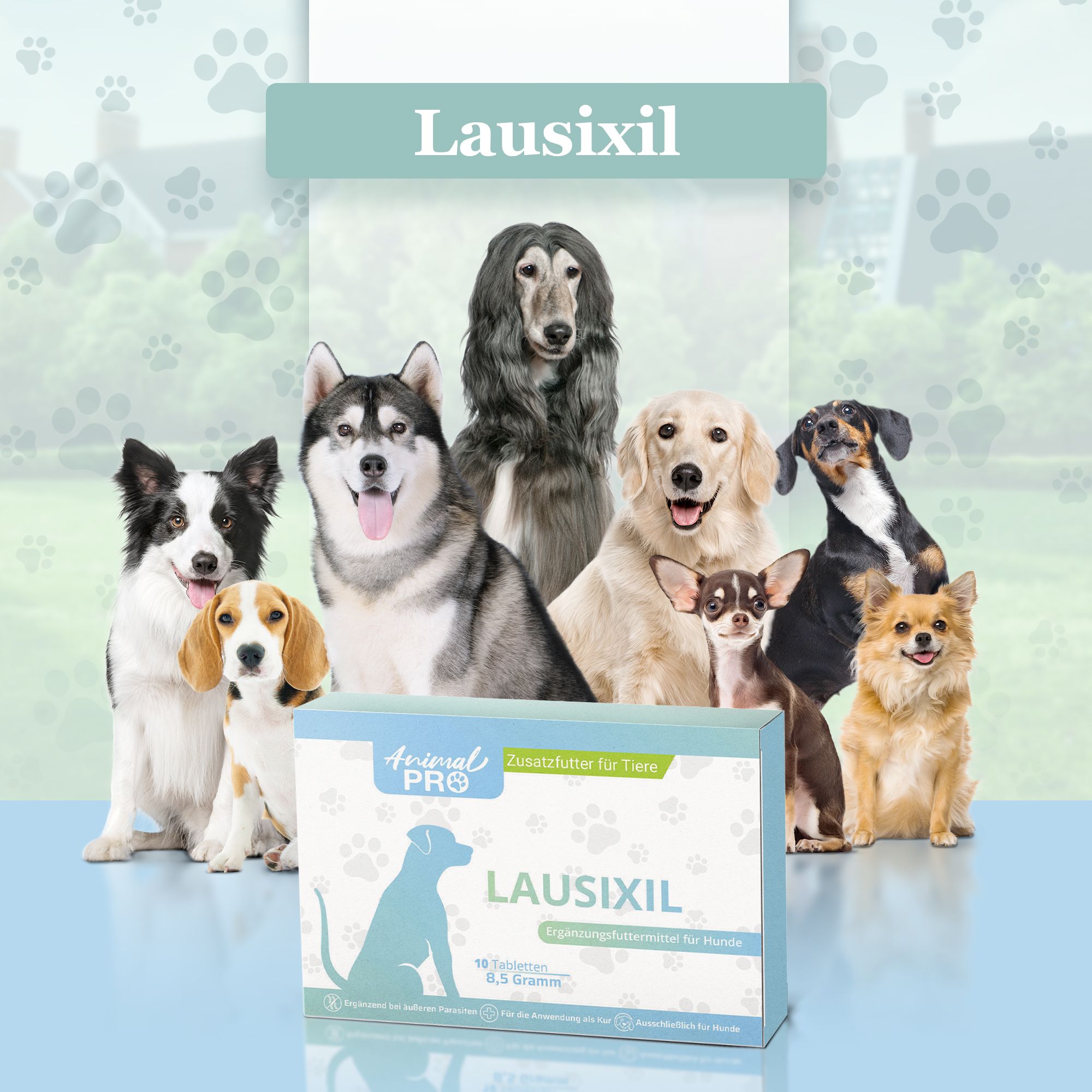 Schachtel mit Tabletten Lausixil Animal Pro, vor einer Gruppe von Hunden.
