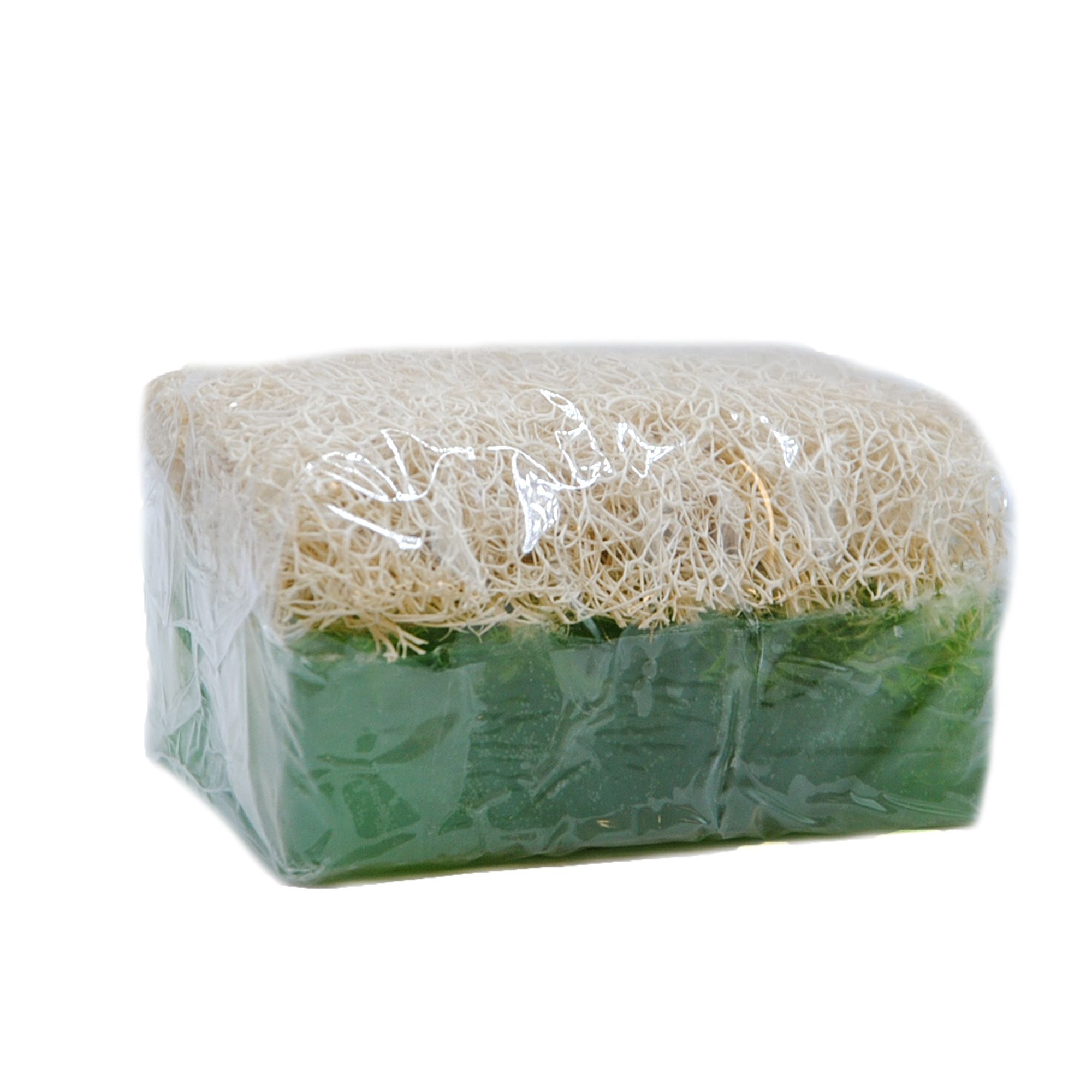 Grüne Seife mit Luffa-Schwamm, in Folie verpackt. Rechteckige Form. Transparent.