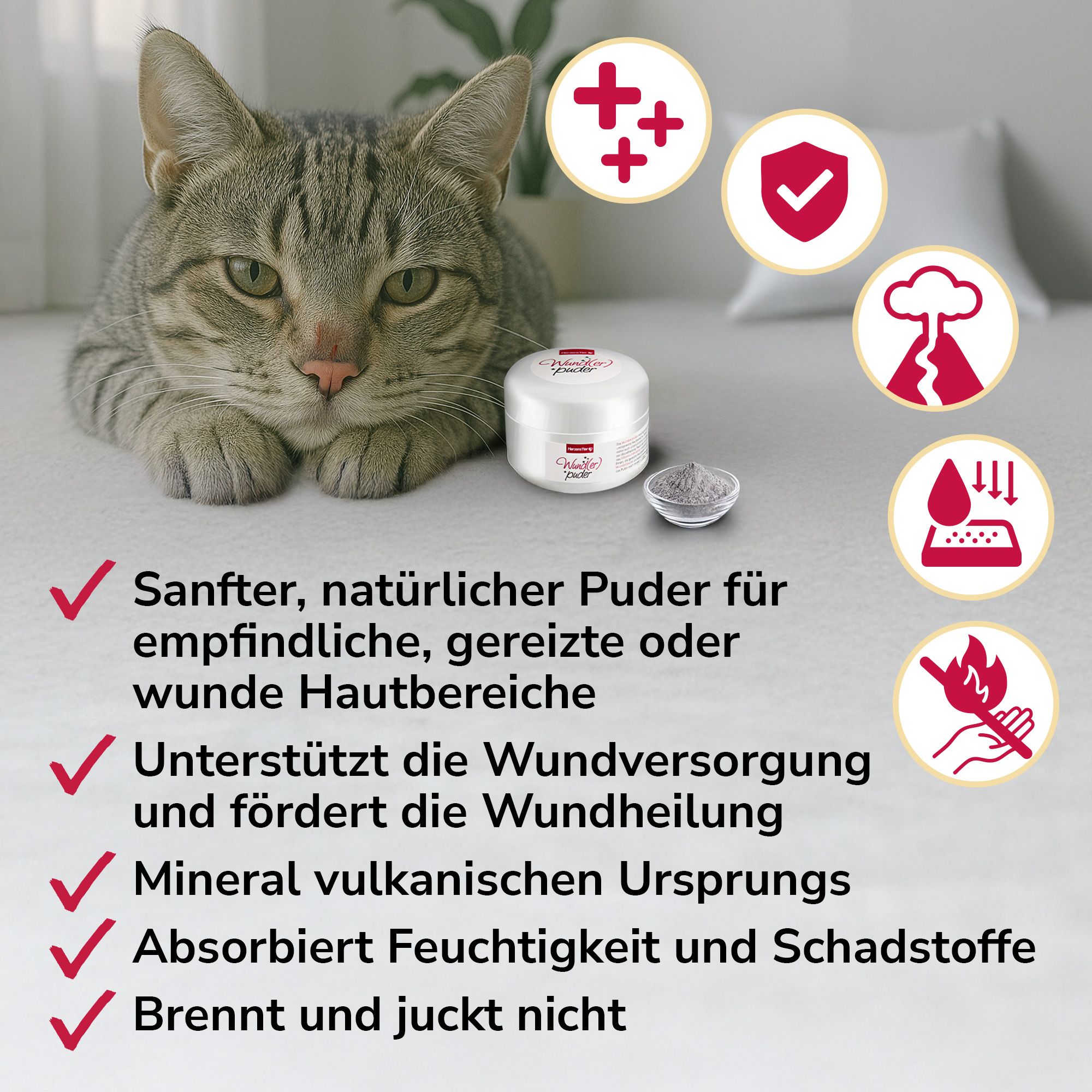 Ein Kätzchen liegt neben einem Tiegel mit Puder und Icons, die Vorteile wie Schutz und Feuchtigkeitsabsorption hervorheben.