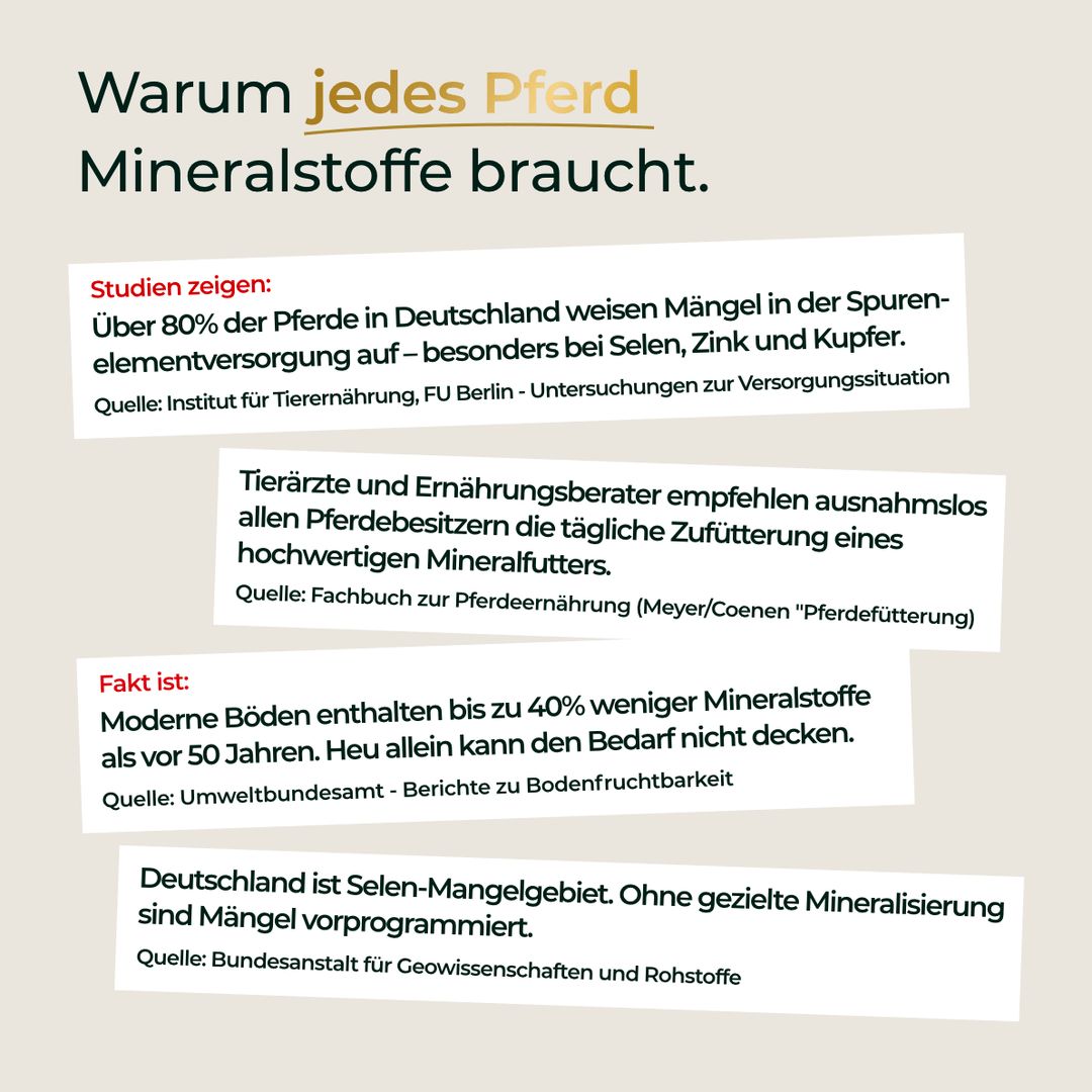 Pferdegold Mineral