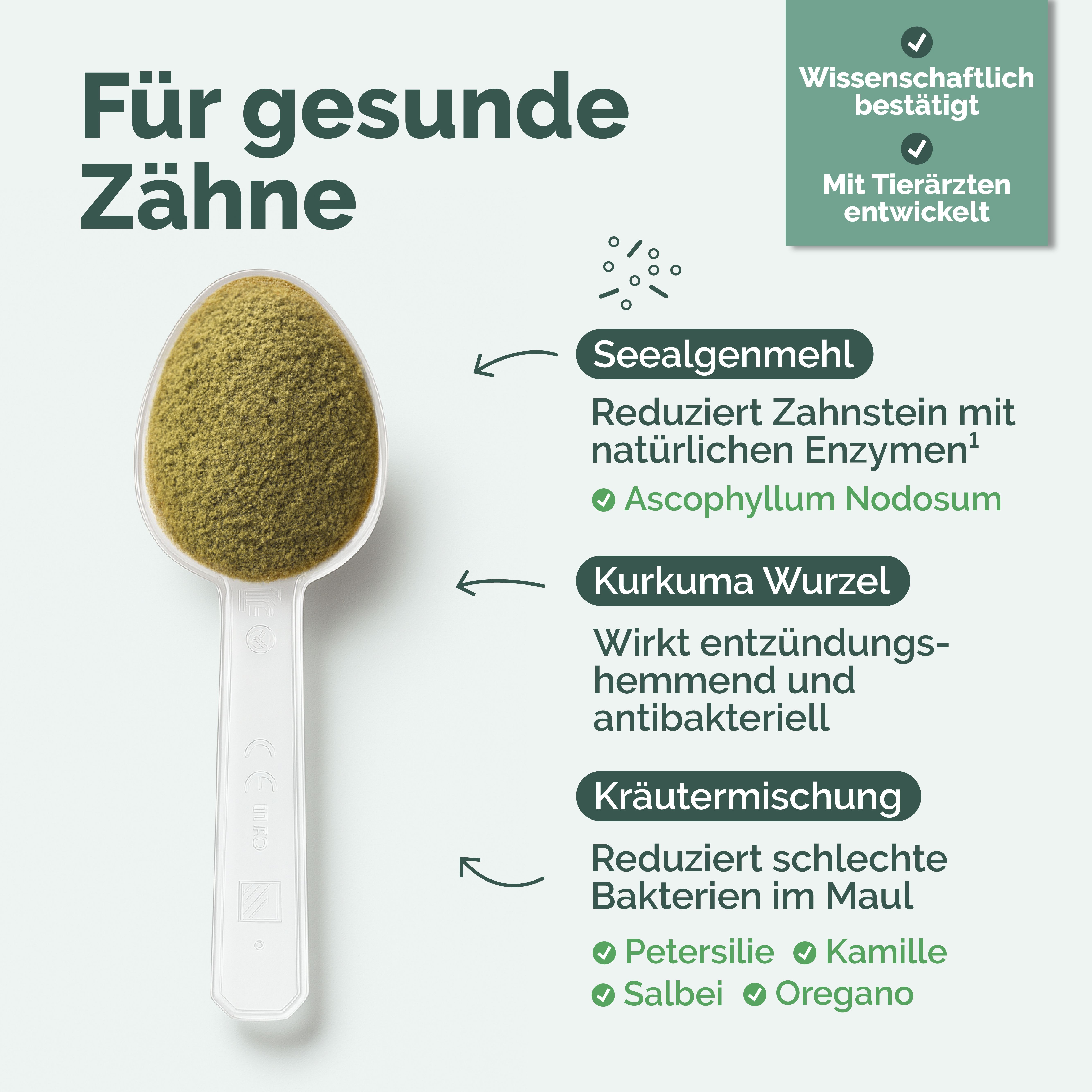 Löffel mit grünem Pulver. Zutaten: Seealgenmehl, Kurkuma, Kräutermischung. Text: Für gesunde Zähne. Logos: Wissenschaftlich bestätigt, Mit Tierärzten entwickelt.
