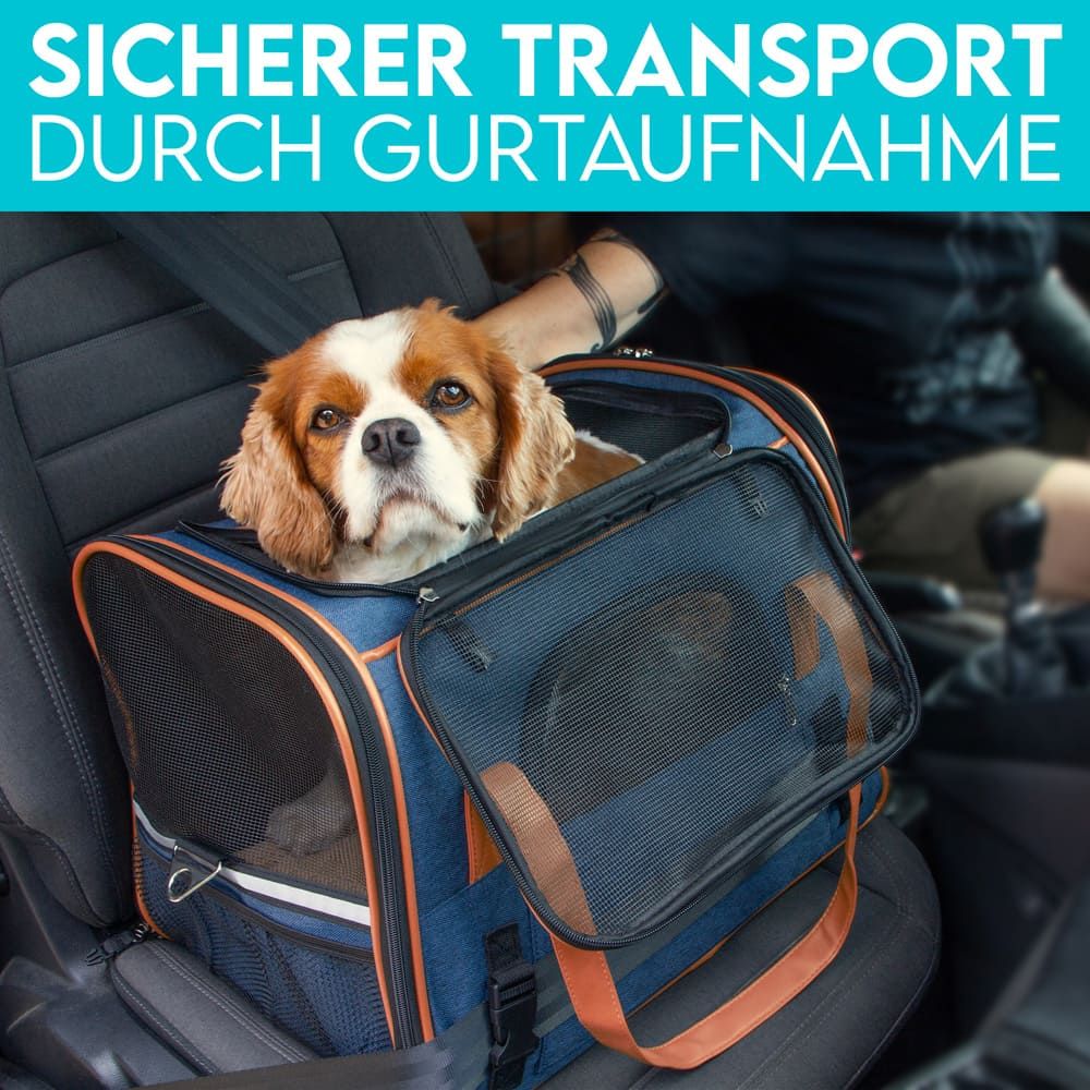HUND IST KÖNIG® Hundetasche Katzentasche bis 6,5kg | robust & formstabil | faltbar & platzsparend