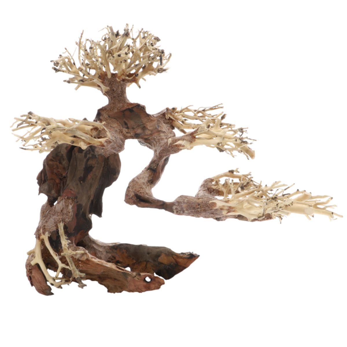Dekoration für Aquarien. Handgefertigter Bonsai-Baum aus Holz. Natürliche Farben: Braun und Beige. Astförmige Struktur.