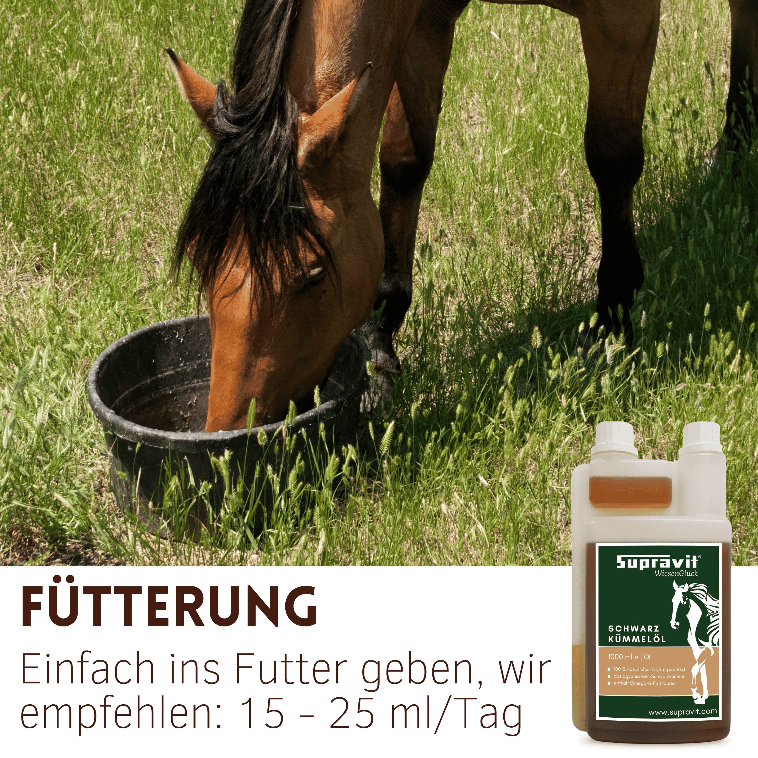 Pferd trinkt aus einem Eimer. Rechts: Flasche mit Produktetikett, Text: Supravit Schwarzkümmelöl. Fütterungsempfehlung: 15-25 ml/Tag.