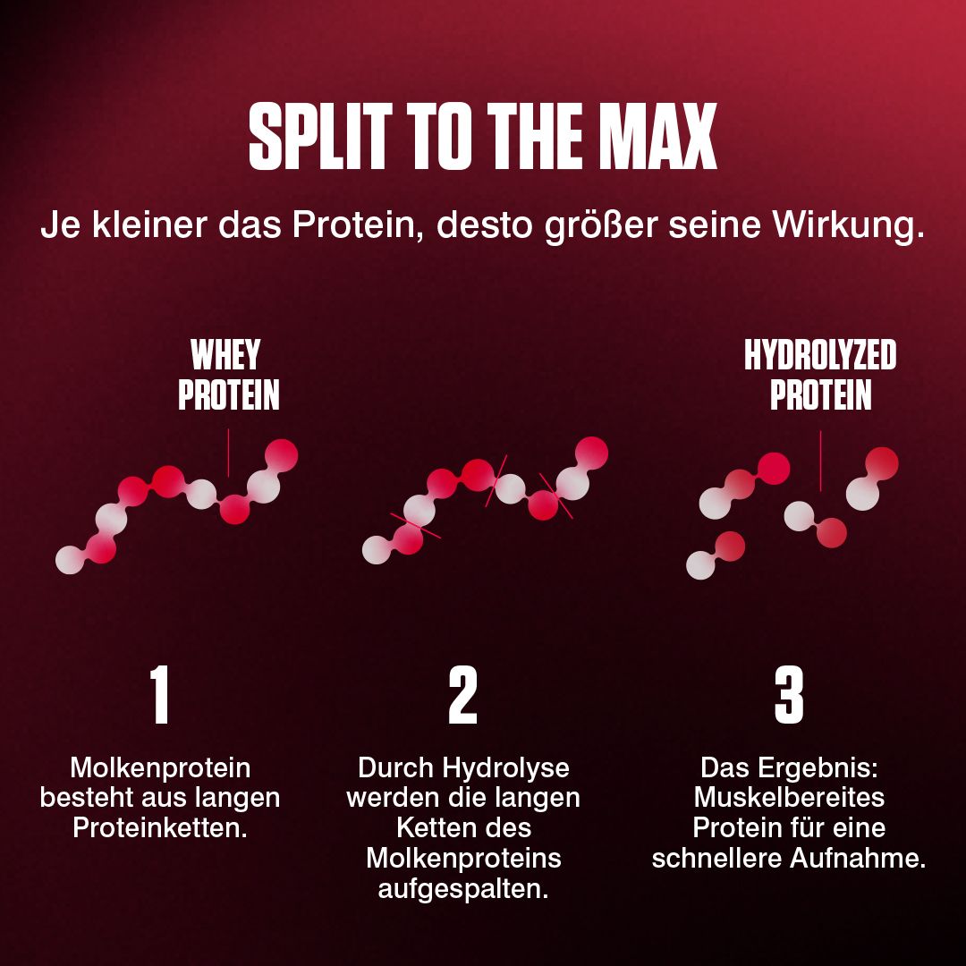 Vergleich von Whey Protein, Hydrolyzed Protein und deren Molekülketten zur besseren Aufnahme.
