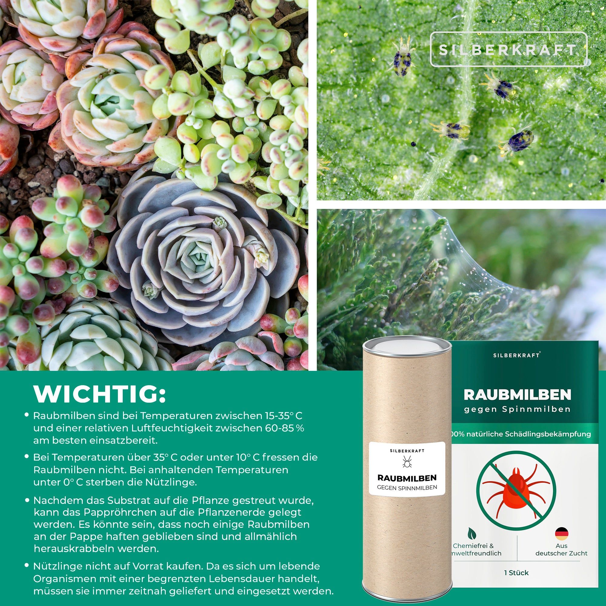 SILBERKRAFT Raubmilben
