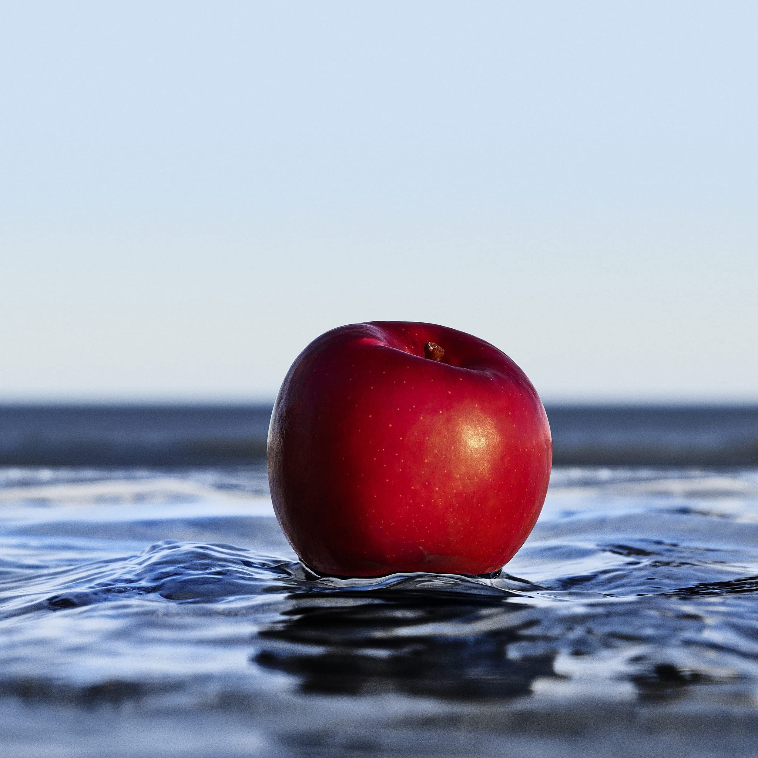 Roter Apfel im Wasser. Hintergrund: Meer und Himmel.