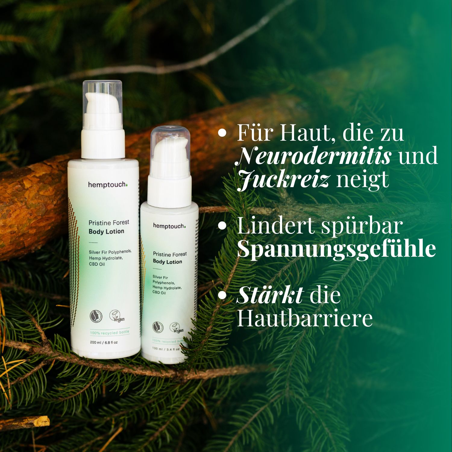 Zwei weiße Pumpspenderflaschen mit Lotion, umgeben von Tannenzweigen.