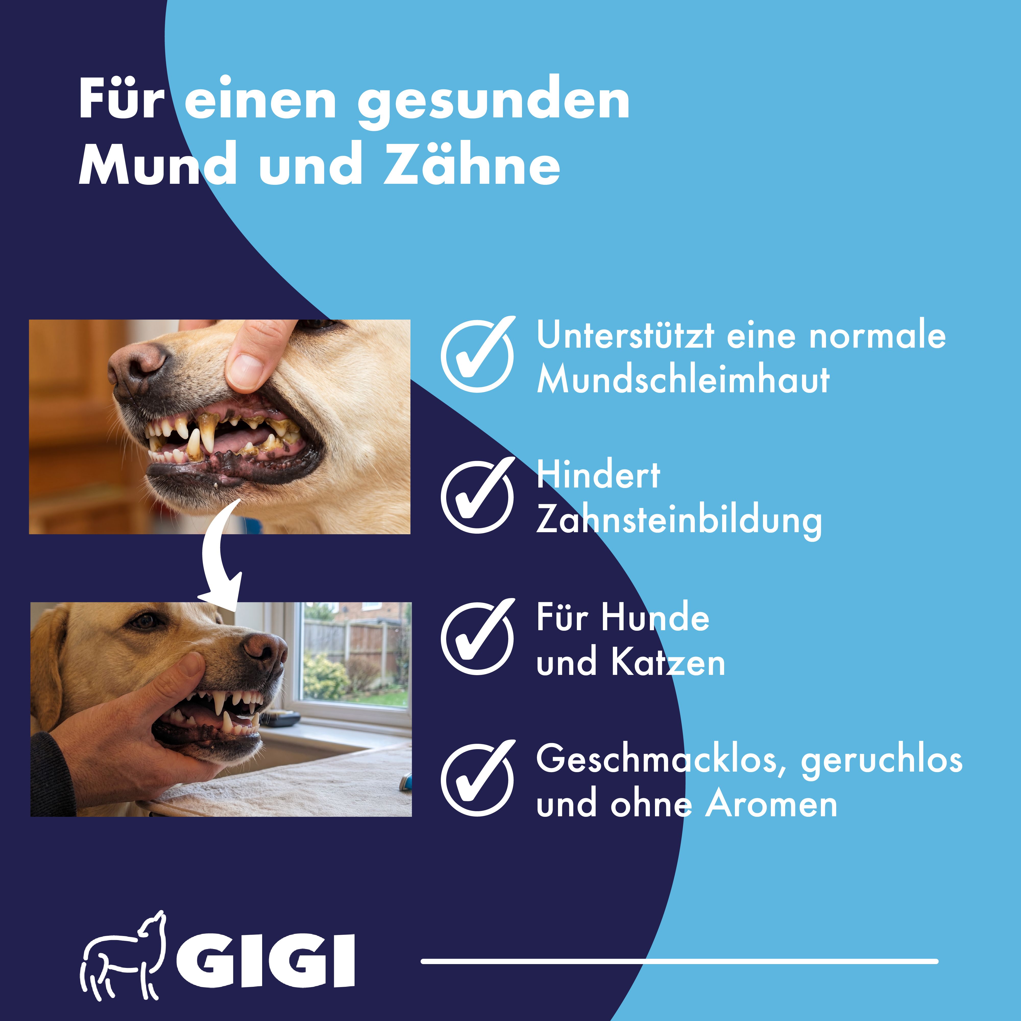 Hundegebiss vor und nach der Anwendung. Unterstützt Mundschleimhaut, hemmt Zahnstein. Für Hunde und Katzen.