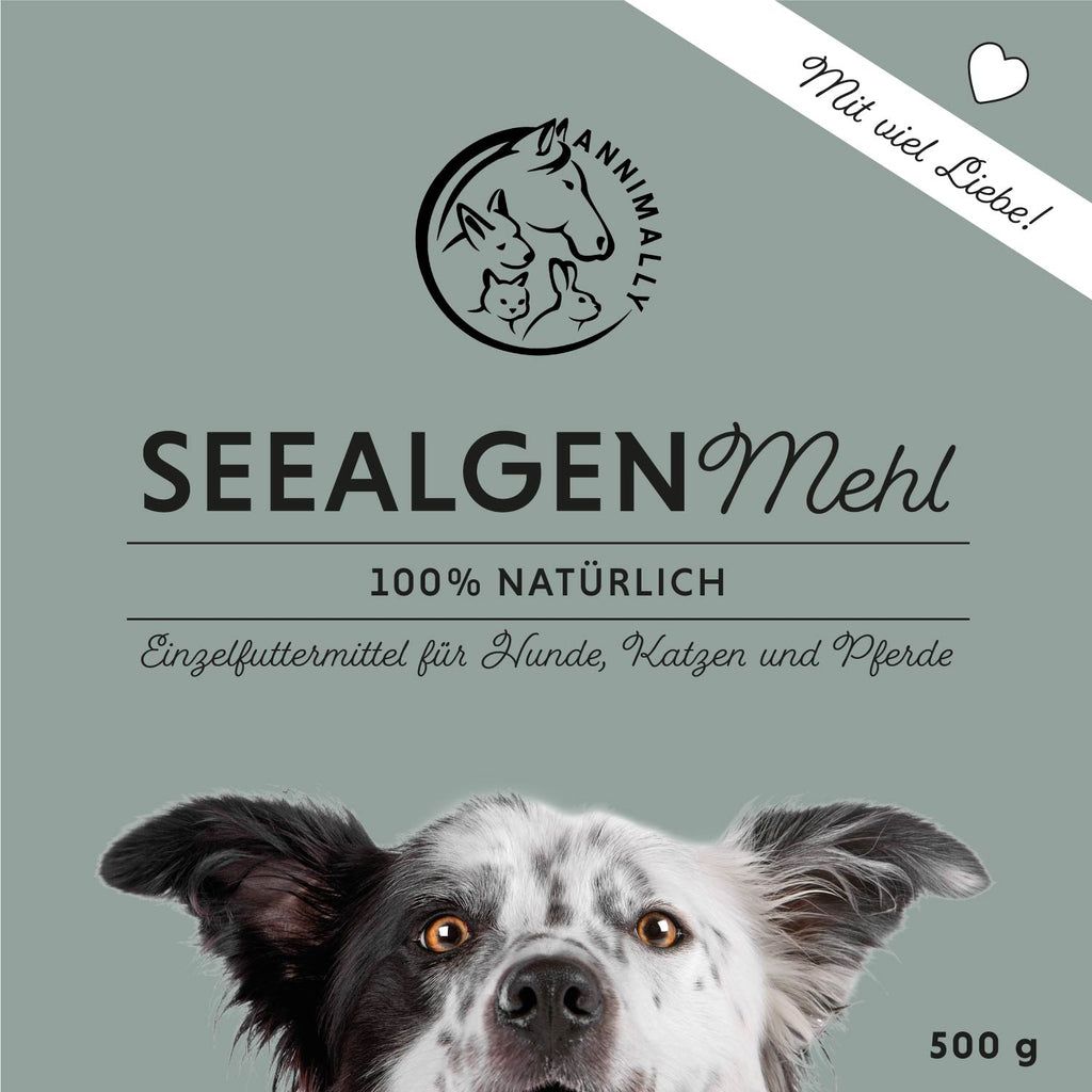Quadratische Grafik mit Text und Hund. Text: Seealgenmehl, 100% natürlich. Einzel-Futtermittel für Hunde, Katzen und Pferde. Logo: Annimally. Aufschrift: Mit viel Liebe! 500g.