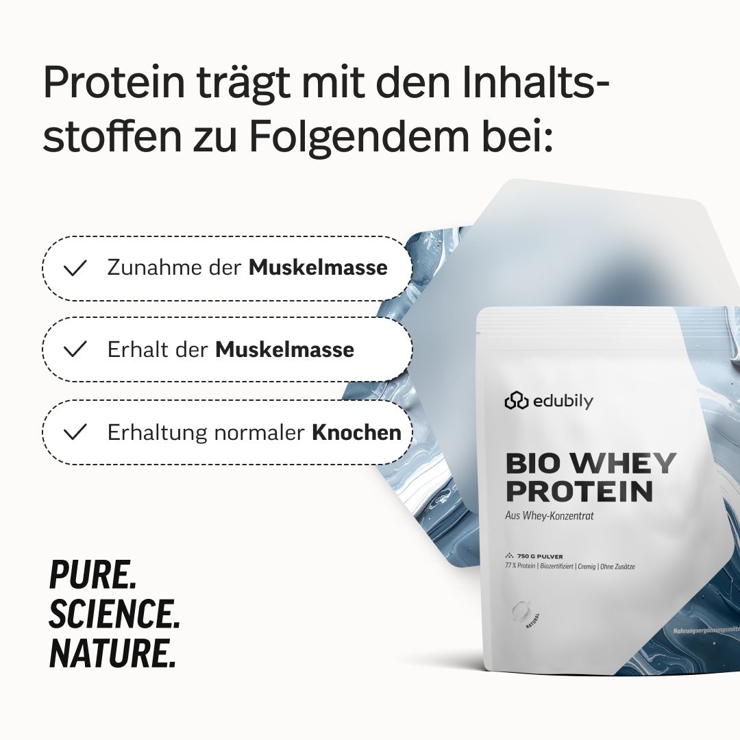 Infografik: Protein trägt bei zu Zunahme/Erhalt der Muskelmasse und Erhaltung normaler Knochen. edubily® Bio Whey Protein.