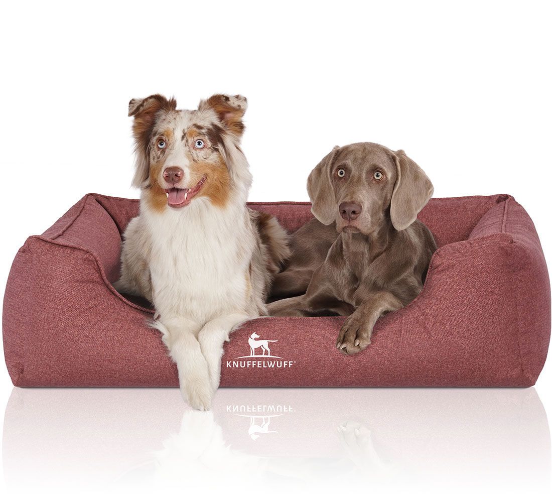 Hundebett Malou, rotbraun, mit zwei Hunden. Ein Hund liegt, einer sitzt. Knuffelwuff Logo. Rechteckige Form mit erhöhtem Rand.