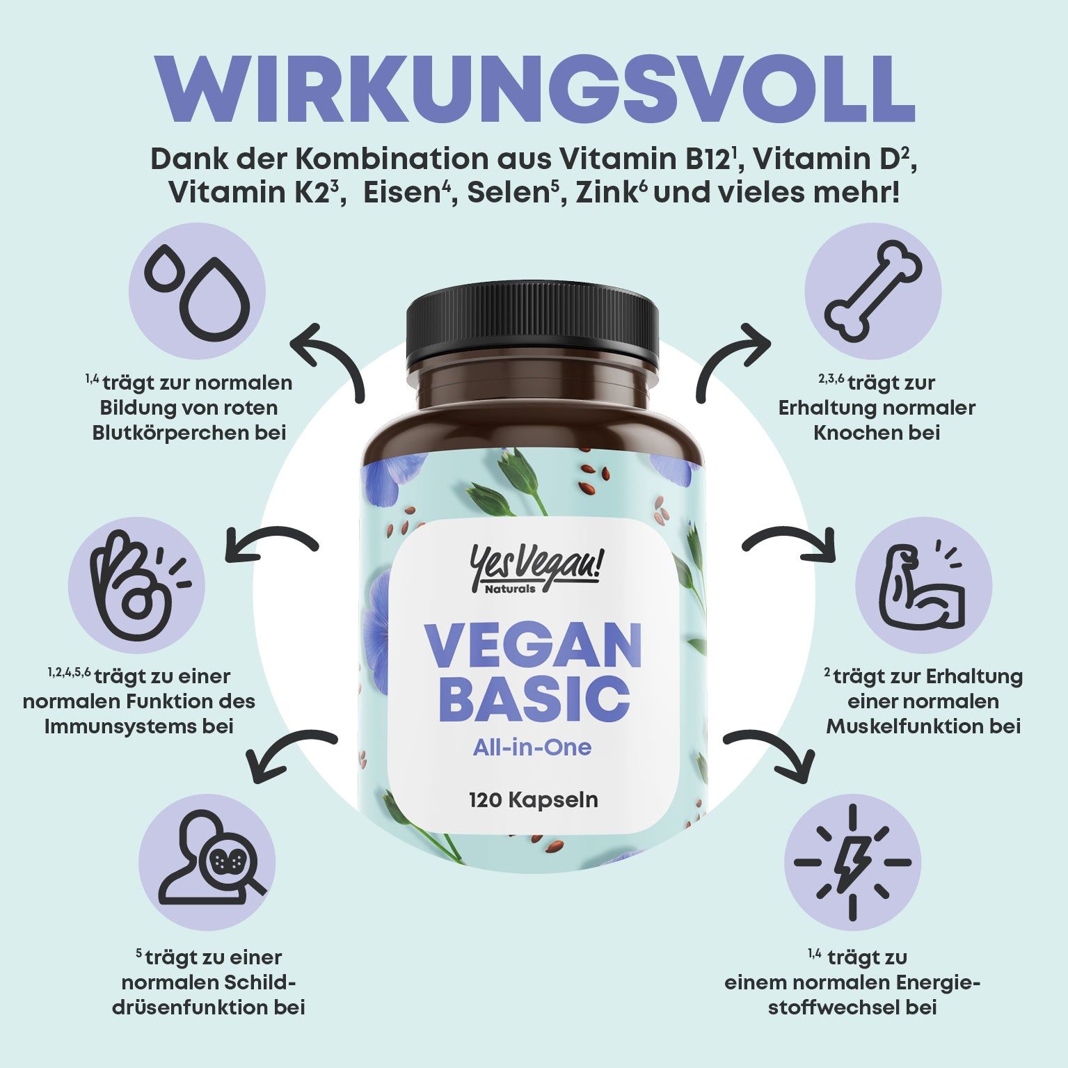 Braune Flasche mit Kapseln. Aufschrift: Yes Vegan! Vegan Basic All-in-One. 120 Kapseln. Diagramm mit Gesundheitsvorteilen.
