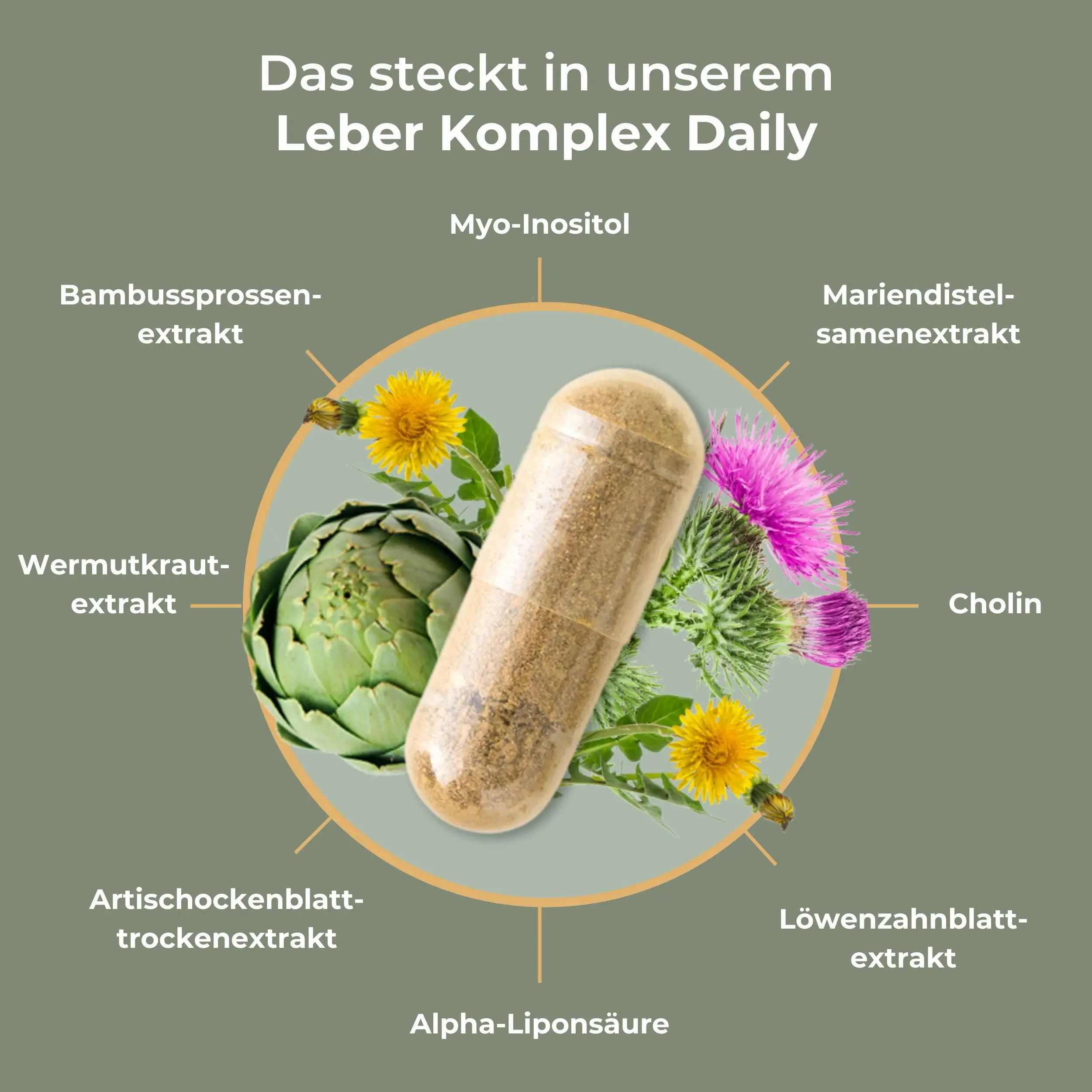 Schema der Inhaltsstoffe von Viktilabs Leber Komplex Daily mit einer Kapsel in der Mitte.
