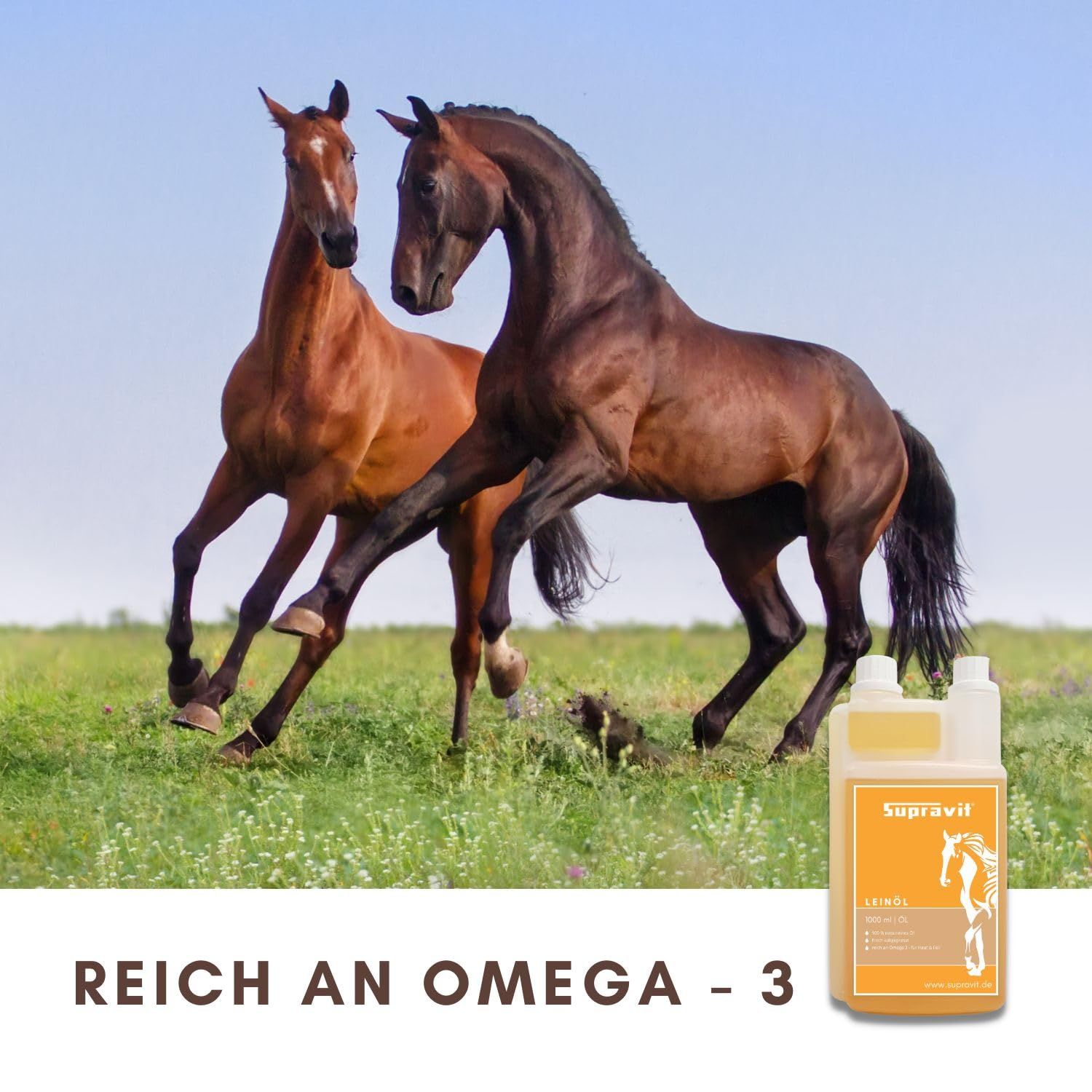 Zwei Pferde auf einer Wiese. Rechts: Produktflasche mit Logo und Text. Text: Reich an Omega-3.