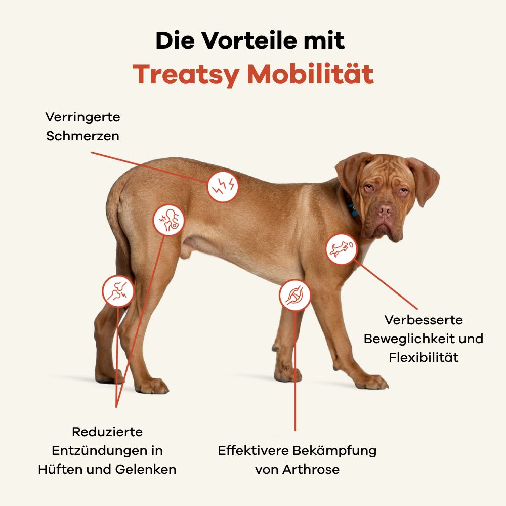 Hund mit Pfeilen, die auf Bereiche des Körpers zeigen. Text: Reduzierte Entzündungen, Schmerzen, Arthrose, Beweglichkeit.