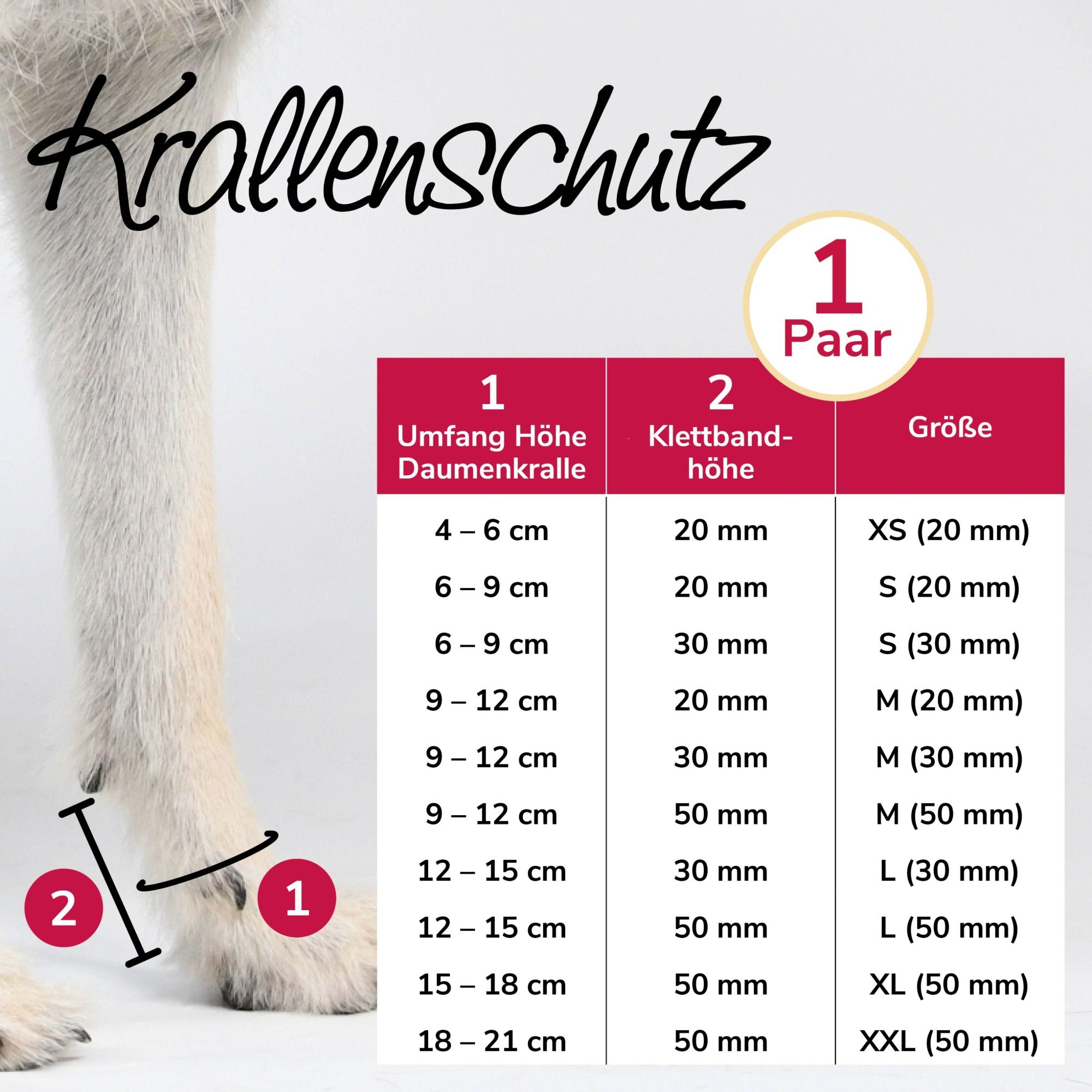 Größentabelle für Krallenschutzbandagen. Größen: XS (20mm) bis XXL (50mm). Messung: Umfang, Höhe Daumenkralle, Klettbandhöhe.