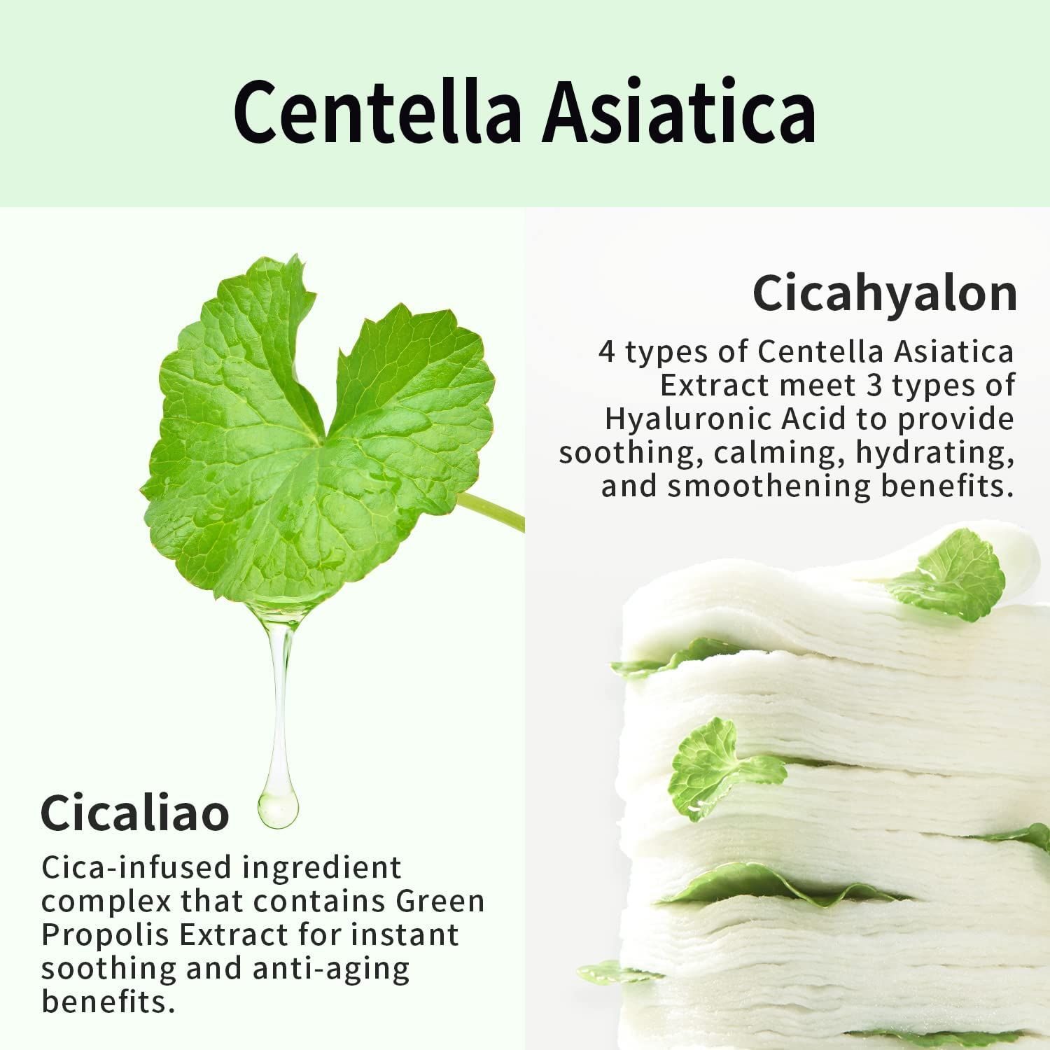 Grafik mit Centella Asiatica. Links: Blatt mit Tropfen. Rechts: Stapel Tücher mit Blättern. Text: Cicaliao, CicaHyalon.