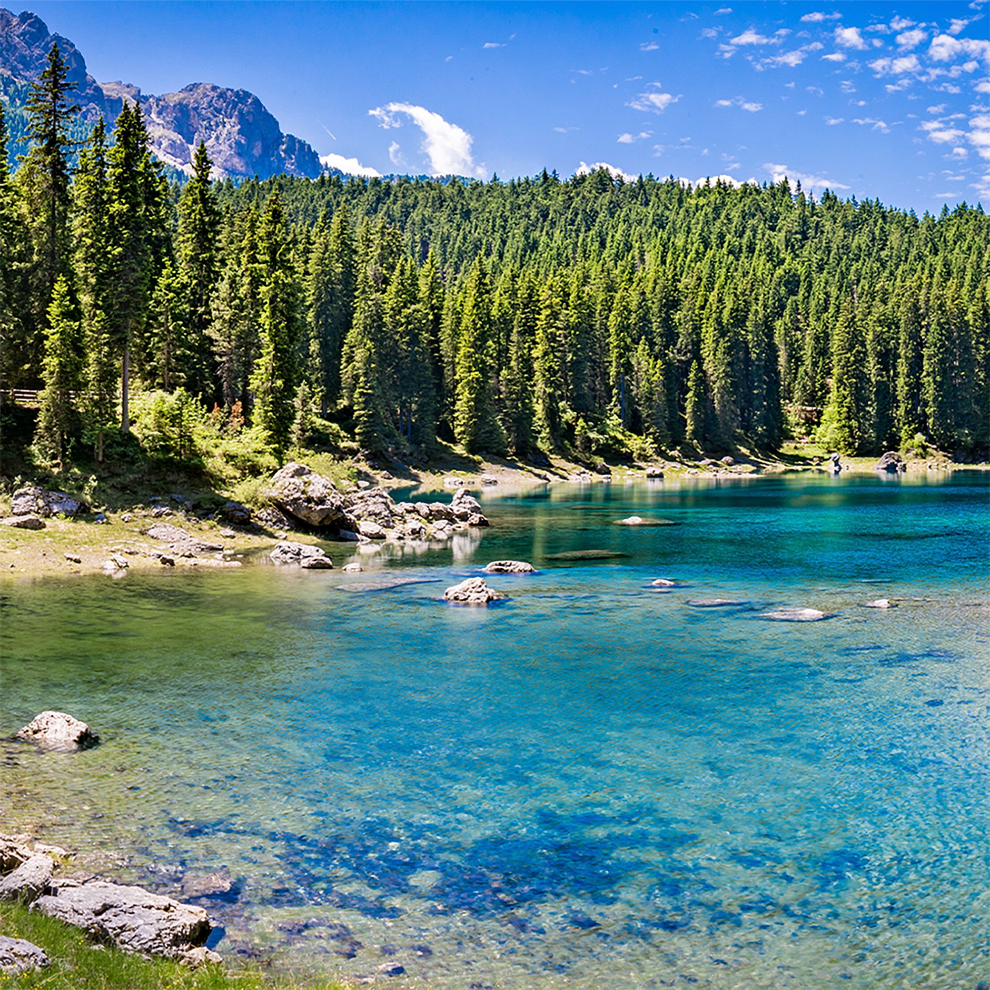 Landschaftsfoto eines Sees mit blauem Wasser, umgeben von Bäumen und Bergen.
