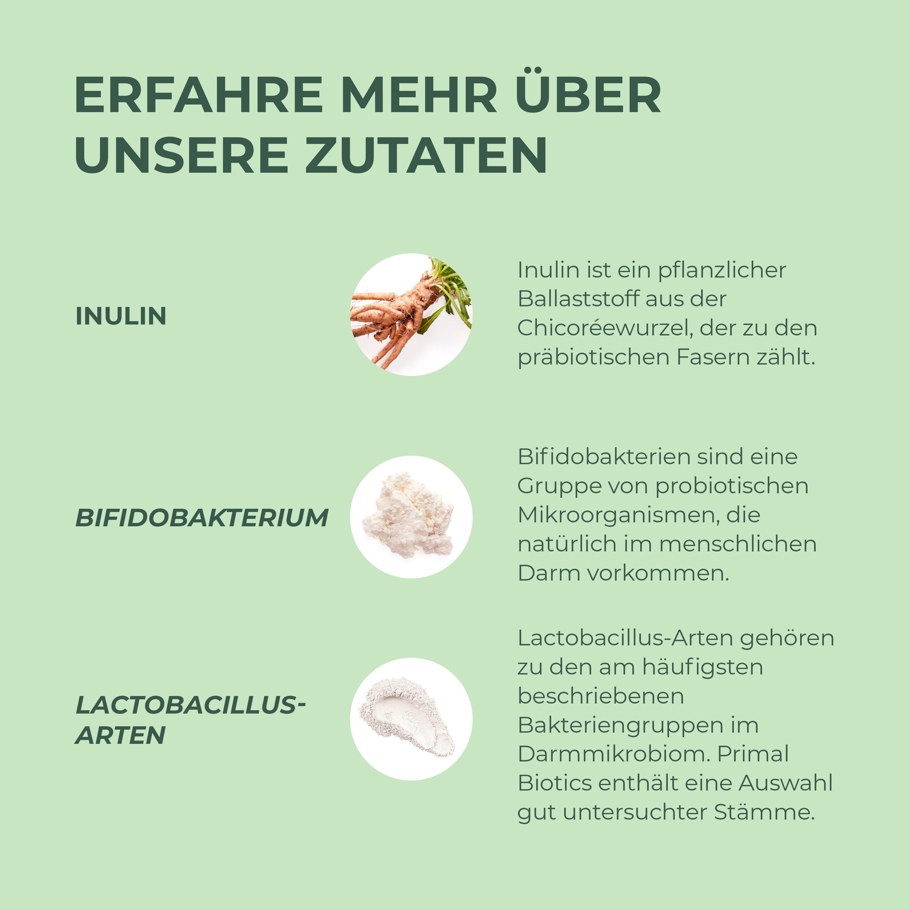 Abbildung von Inulin, Bifidobakterien und Lactobacillus-Arten. Text über Inhaltsstoffe.